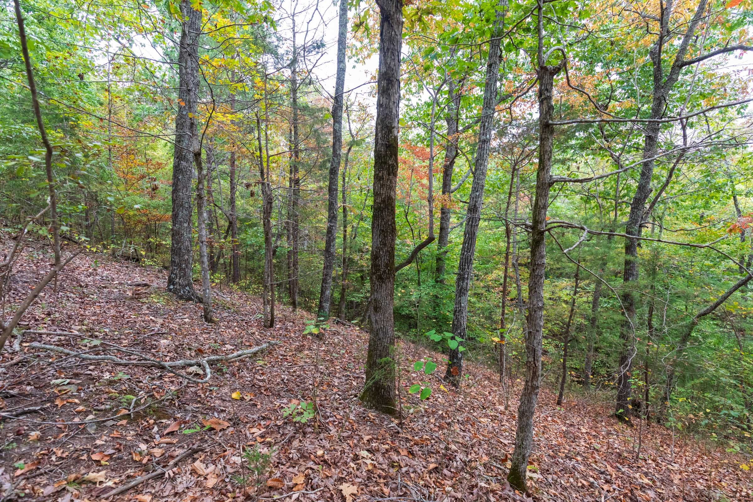 Copper Ridge Tract 1 photo 2