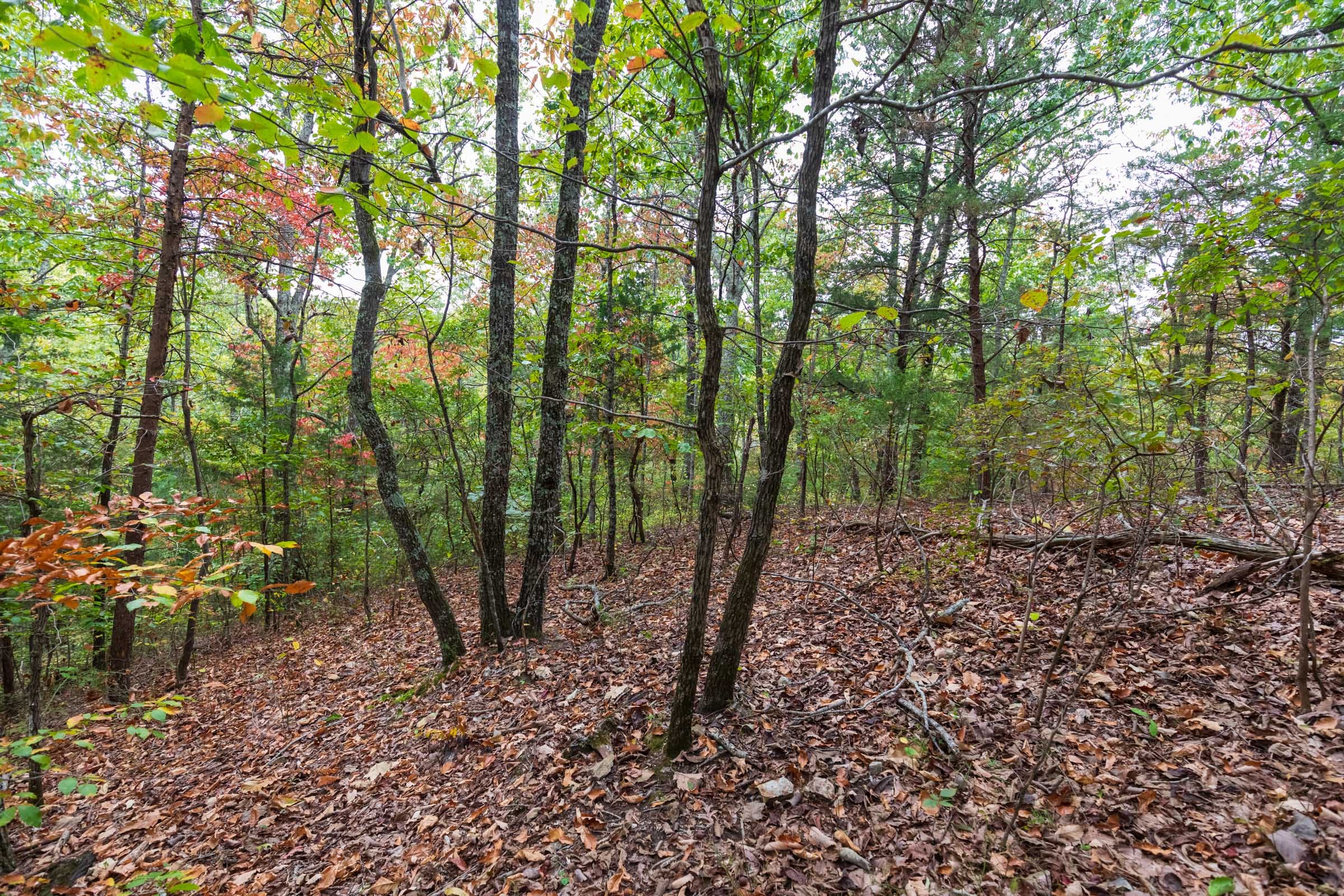 Copper Ridge Tract 1 photo 7