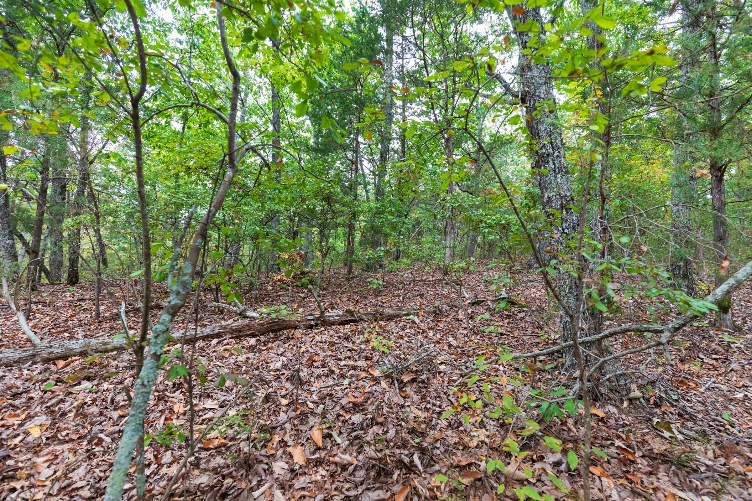 Copper Ridge Tract 1 photo 8