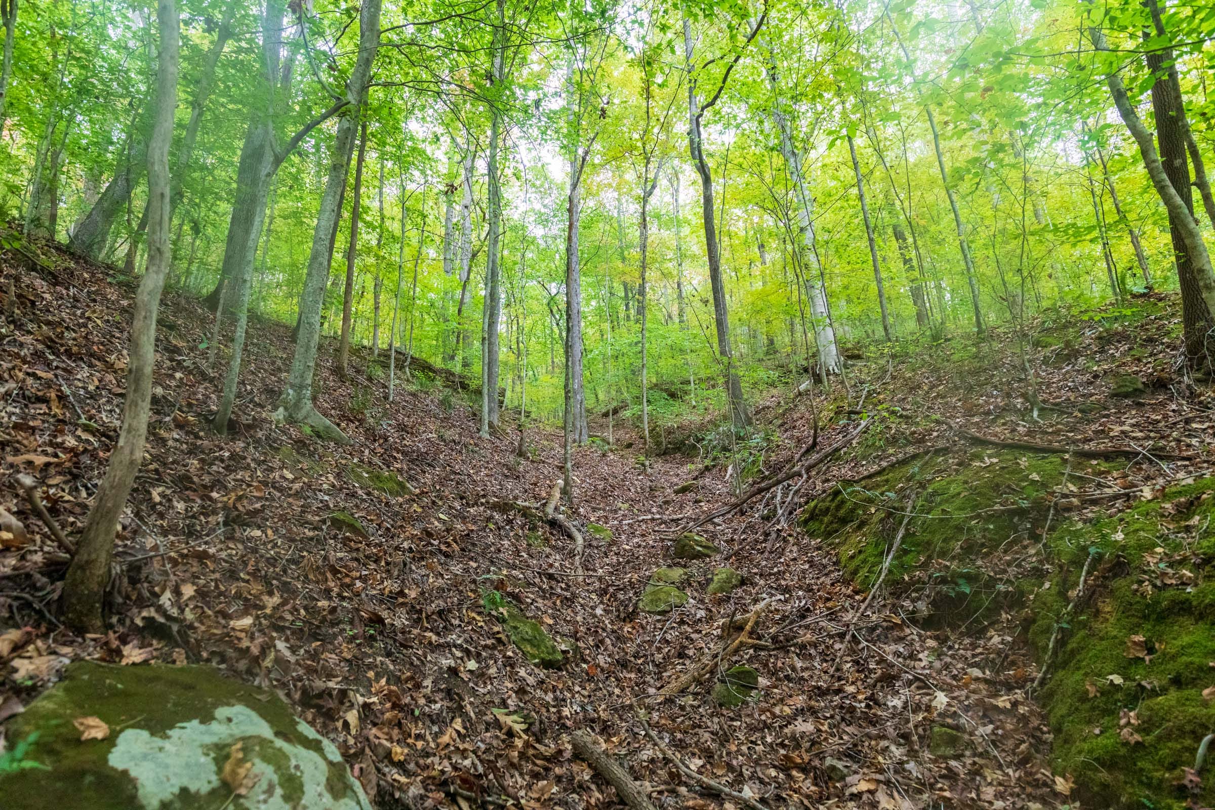 Copper Ridge Tract 1 photo 13