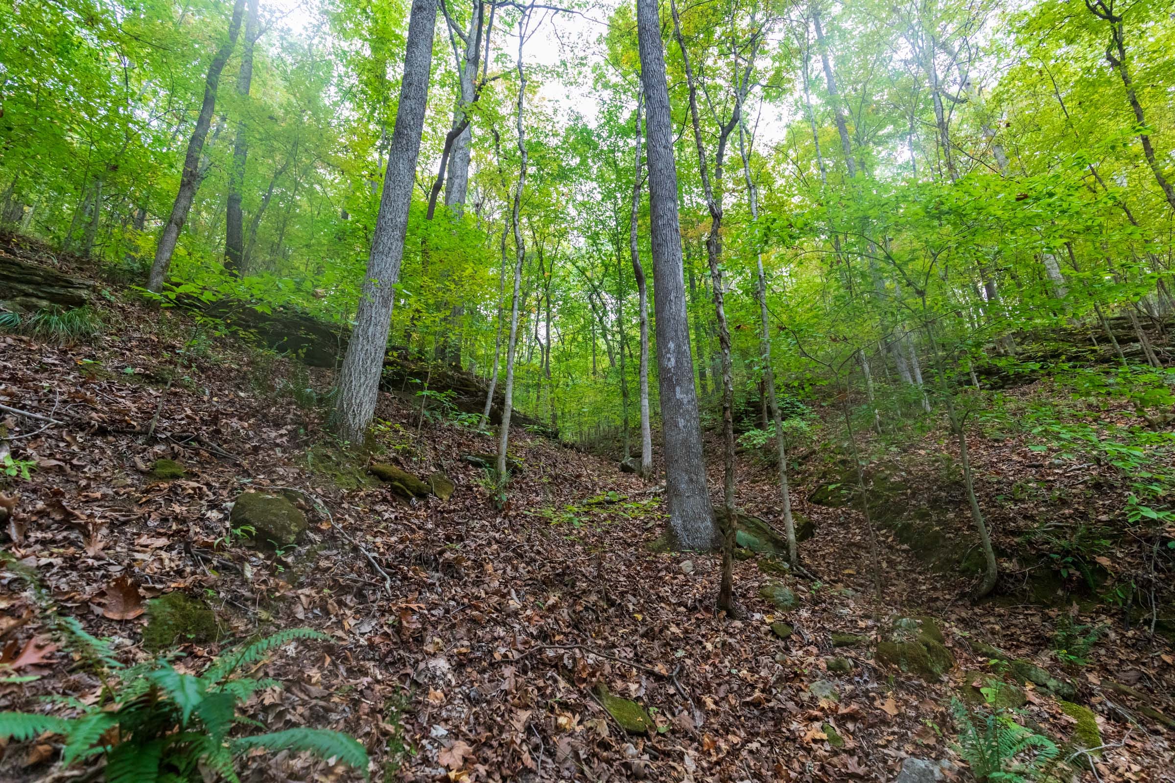 Copper Ridge Tract 1 photo 15