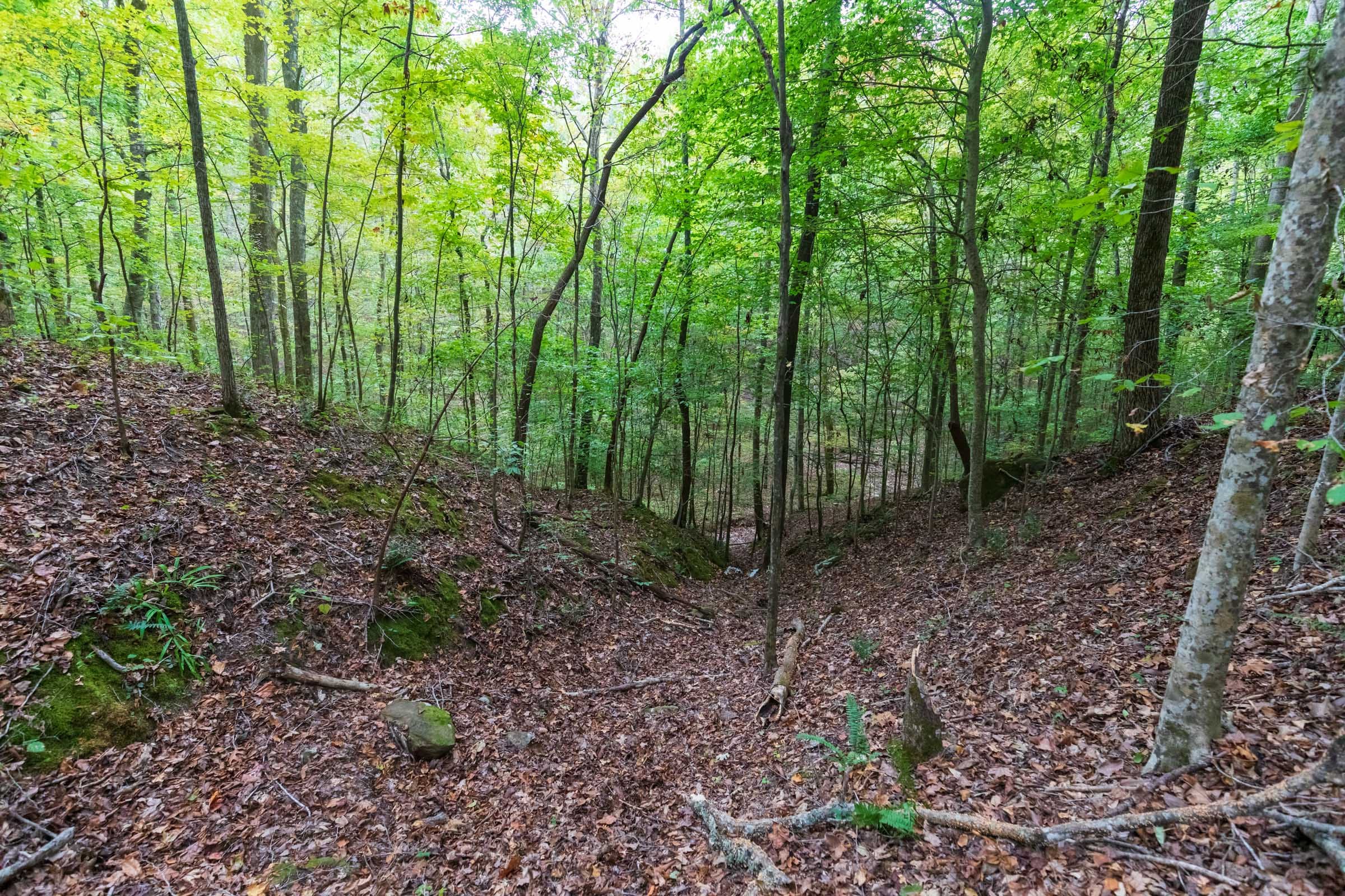 Copper Ridge Tract 1 photo 17
