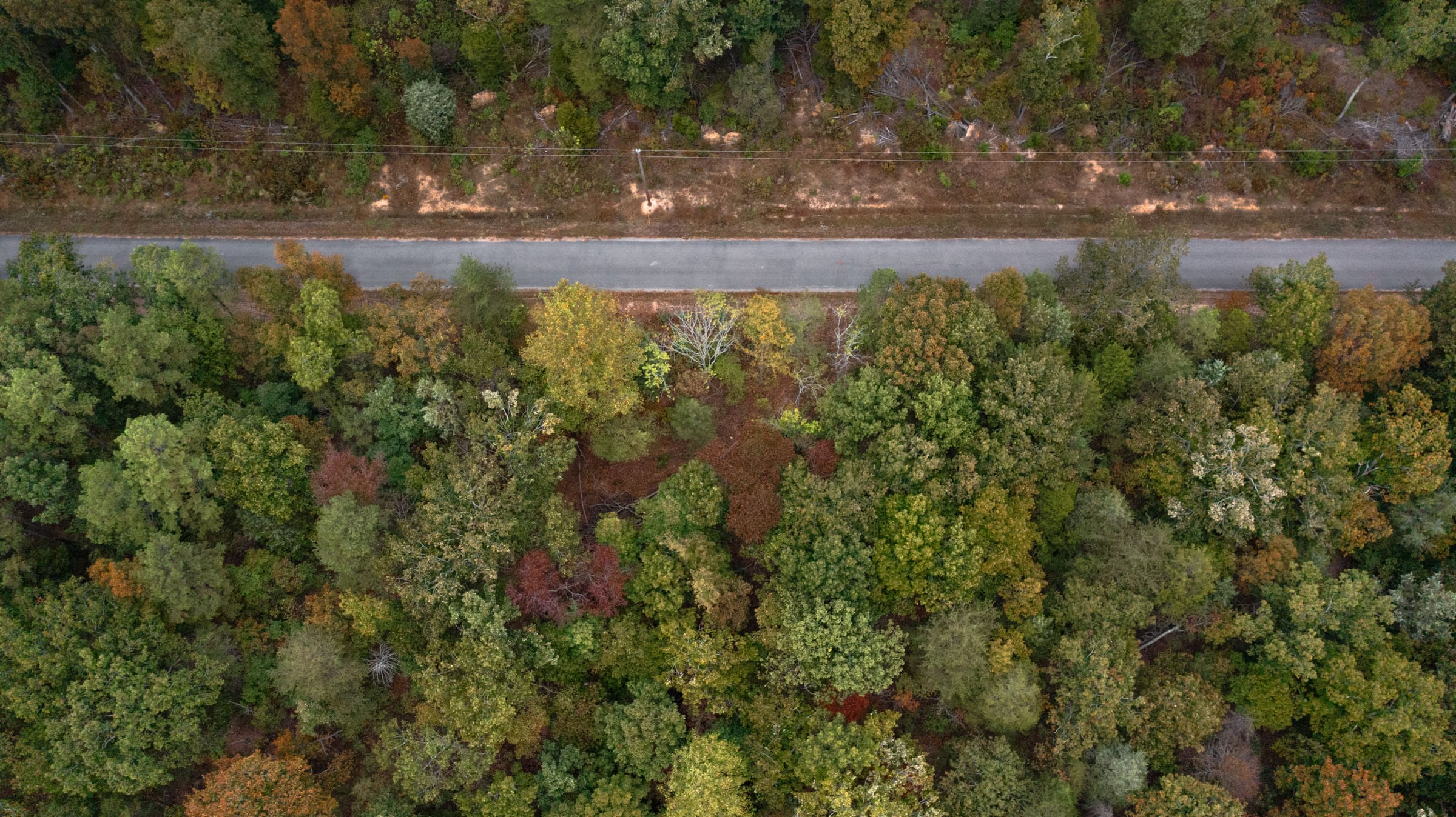 Copper Ridge Tract 1 photo 5