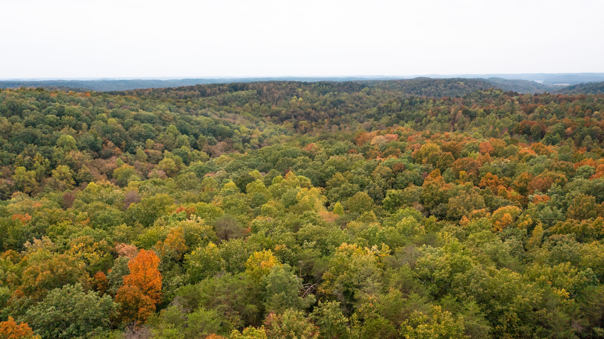 Copper Ridge Tract 1 photo 9