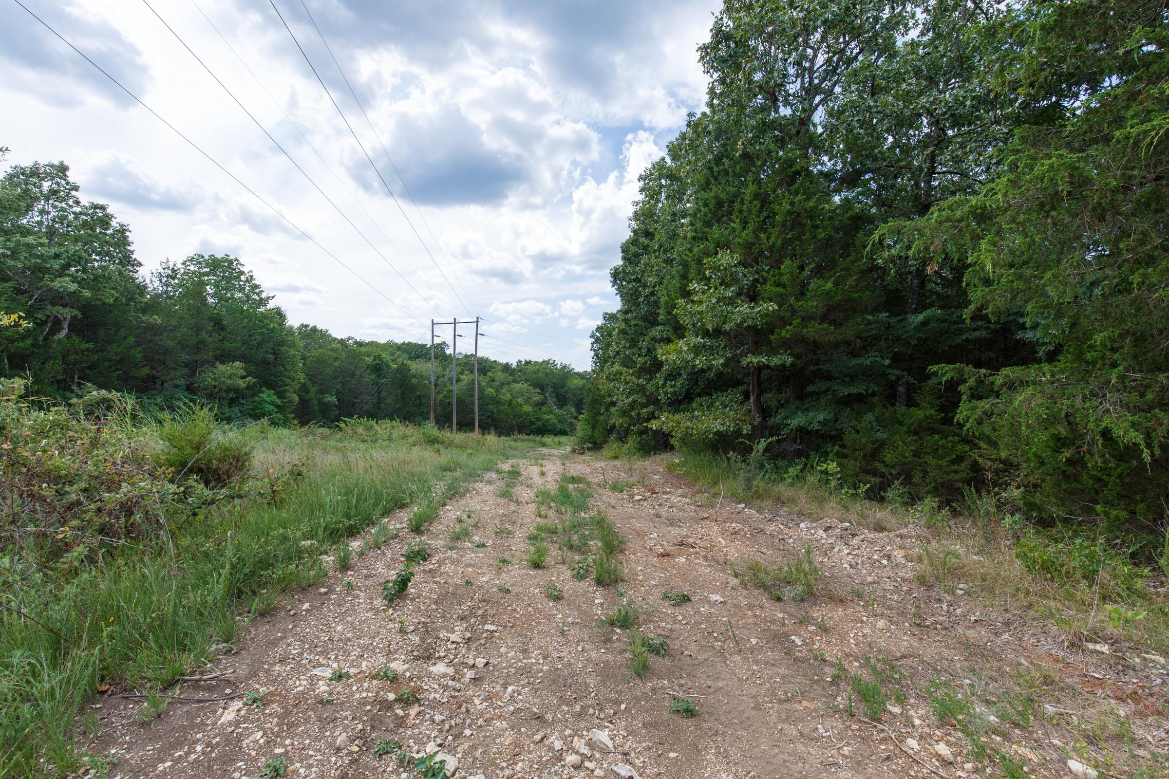Wildwood Tract 33 photo 1