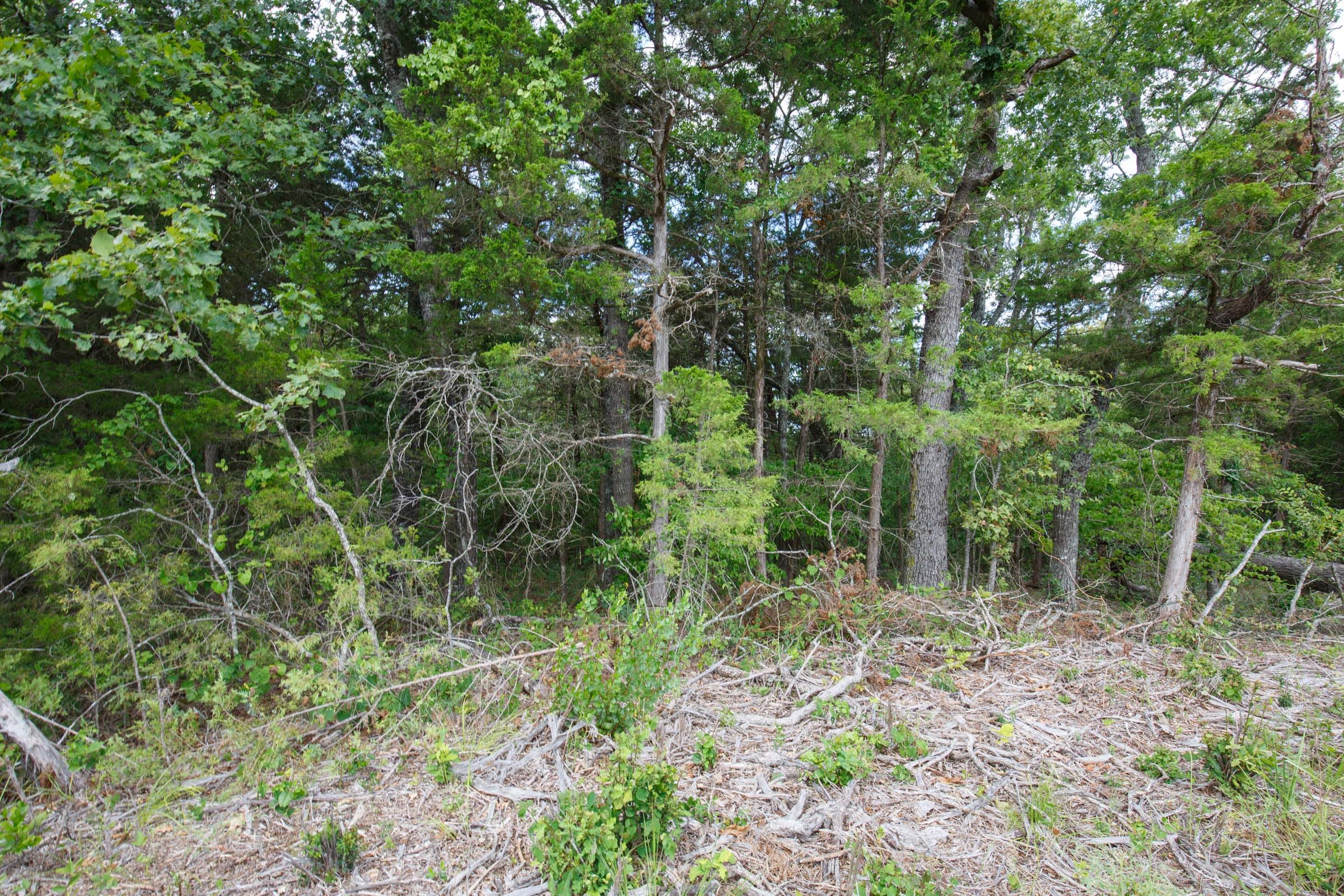 Wildwood Tract 33 photo 10