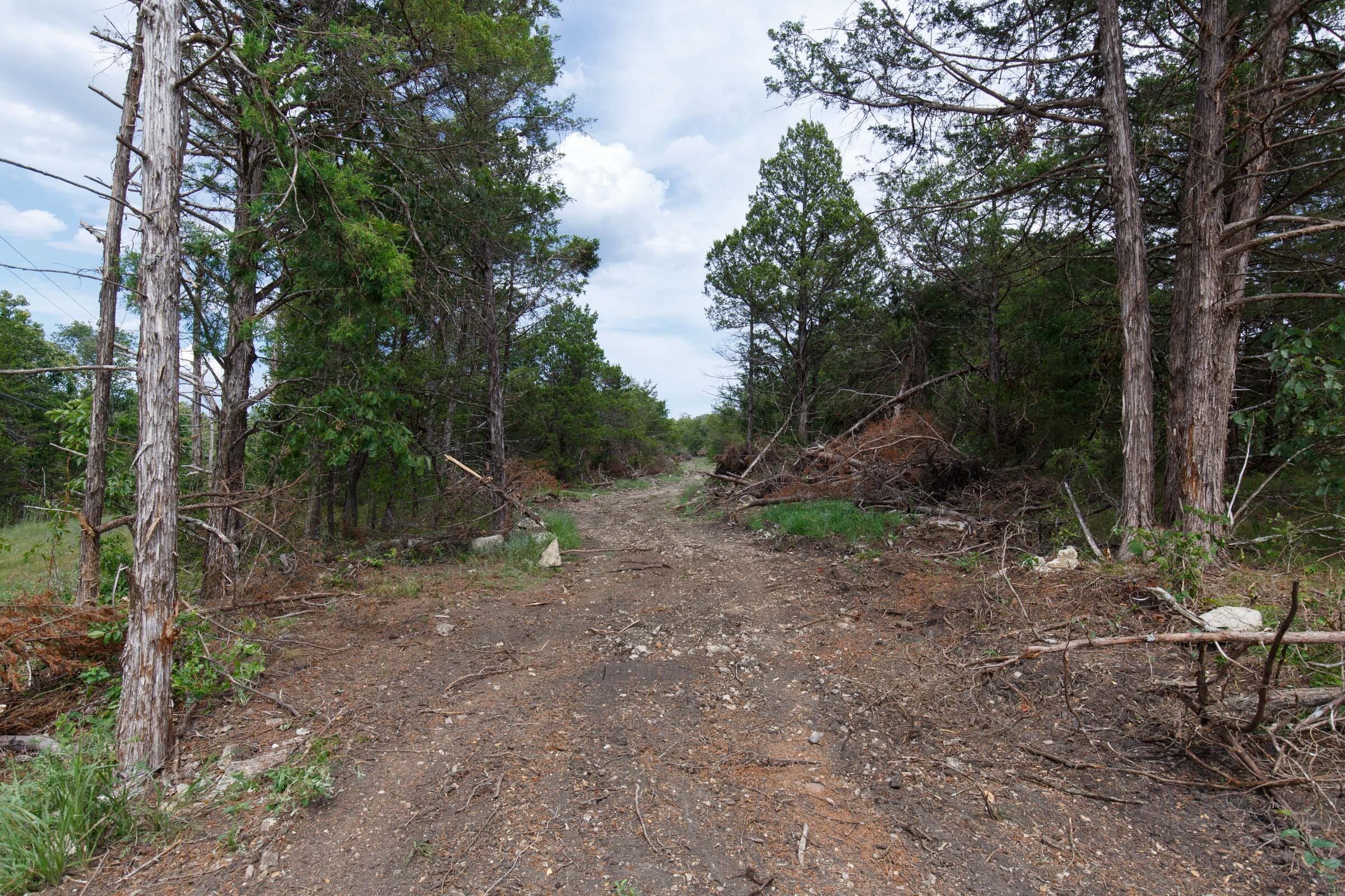 Wildwood Tract 33 photo 6