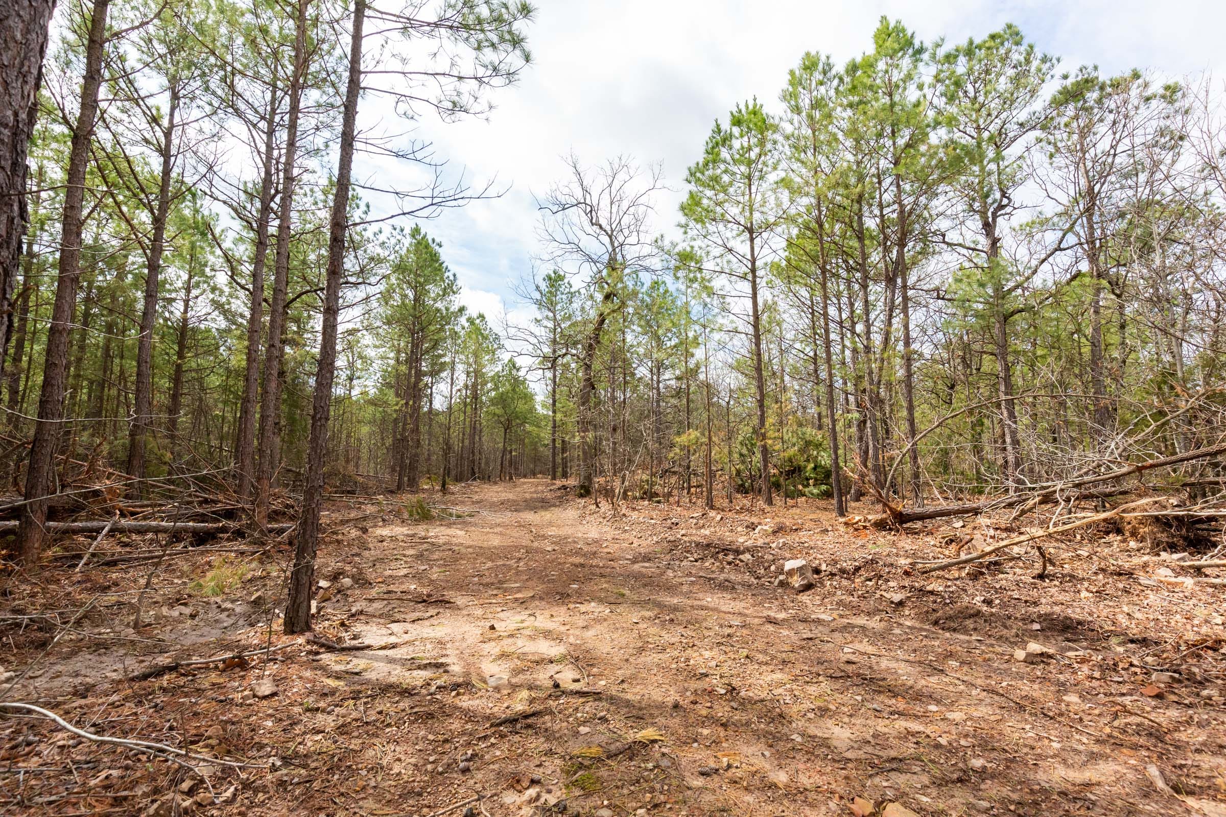 Stone Bridge Phase III Tract 188 photo 1