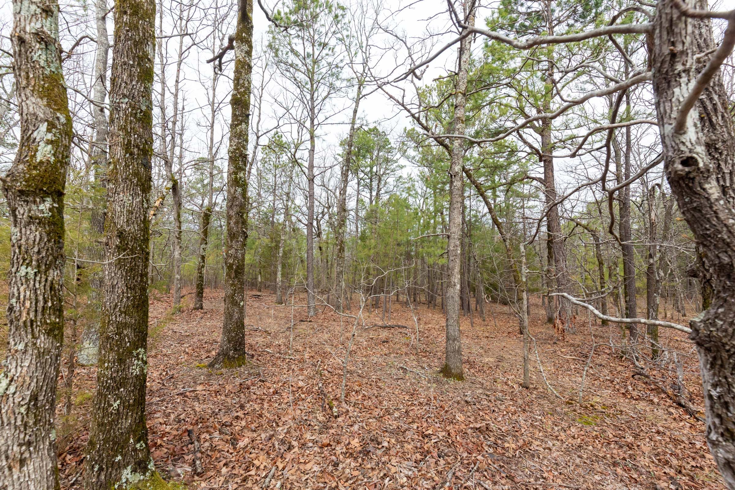 Stone Bridge Phase III Tract 188 photo 3