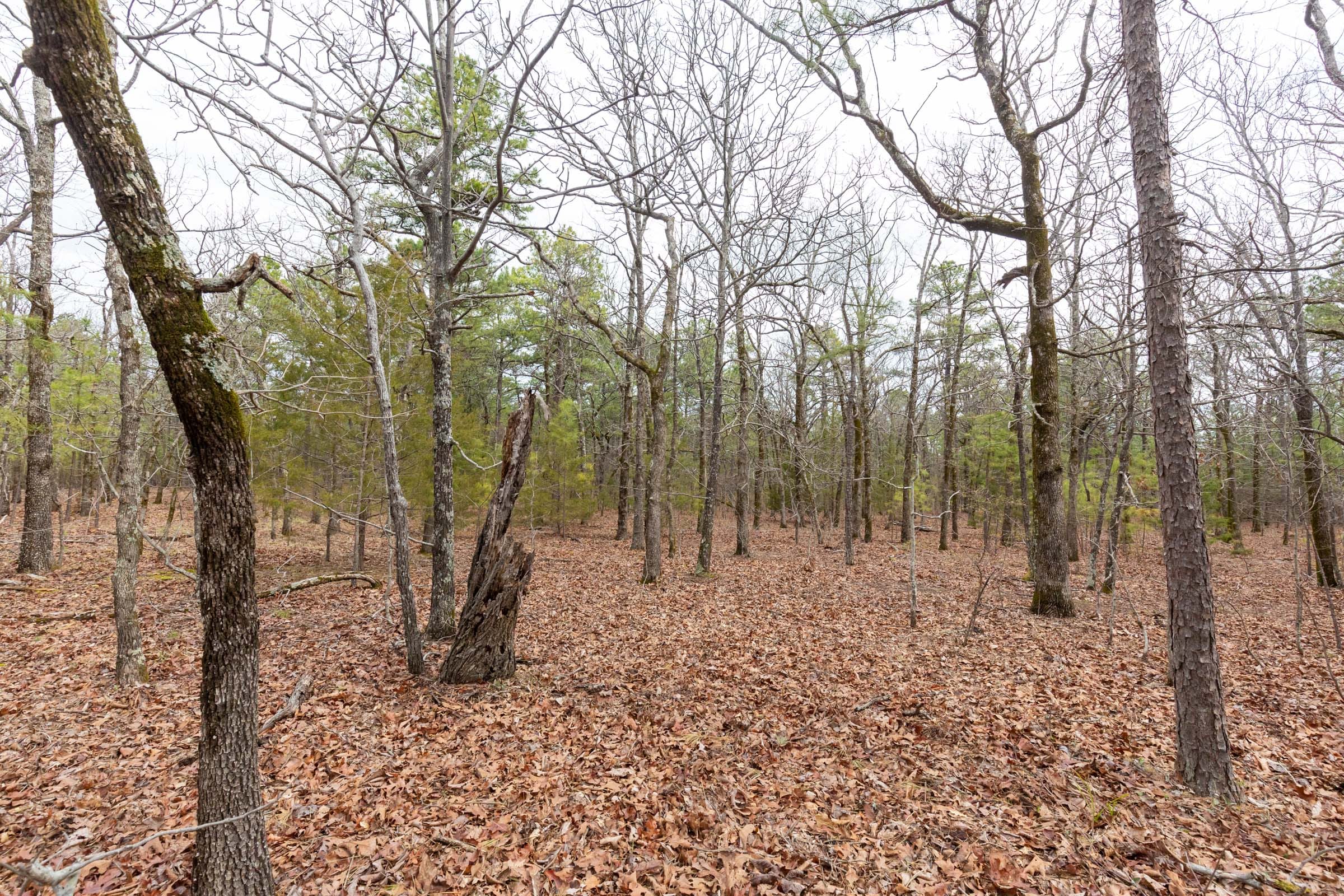 Stone Bridge Phase III Tract 188 photo 6