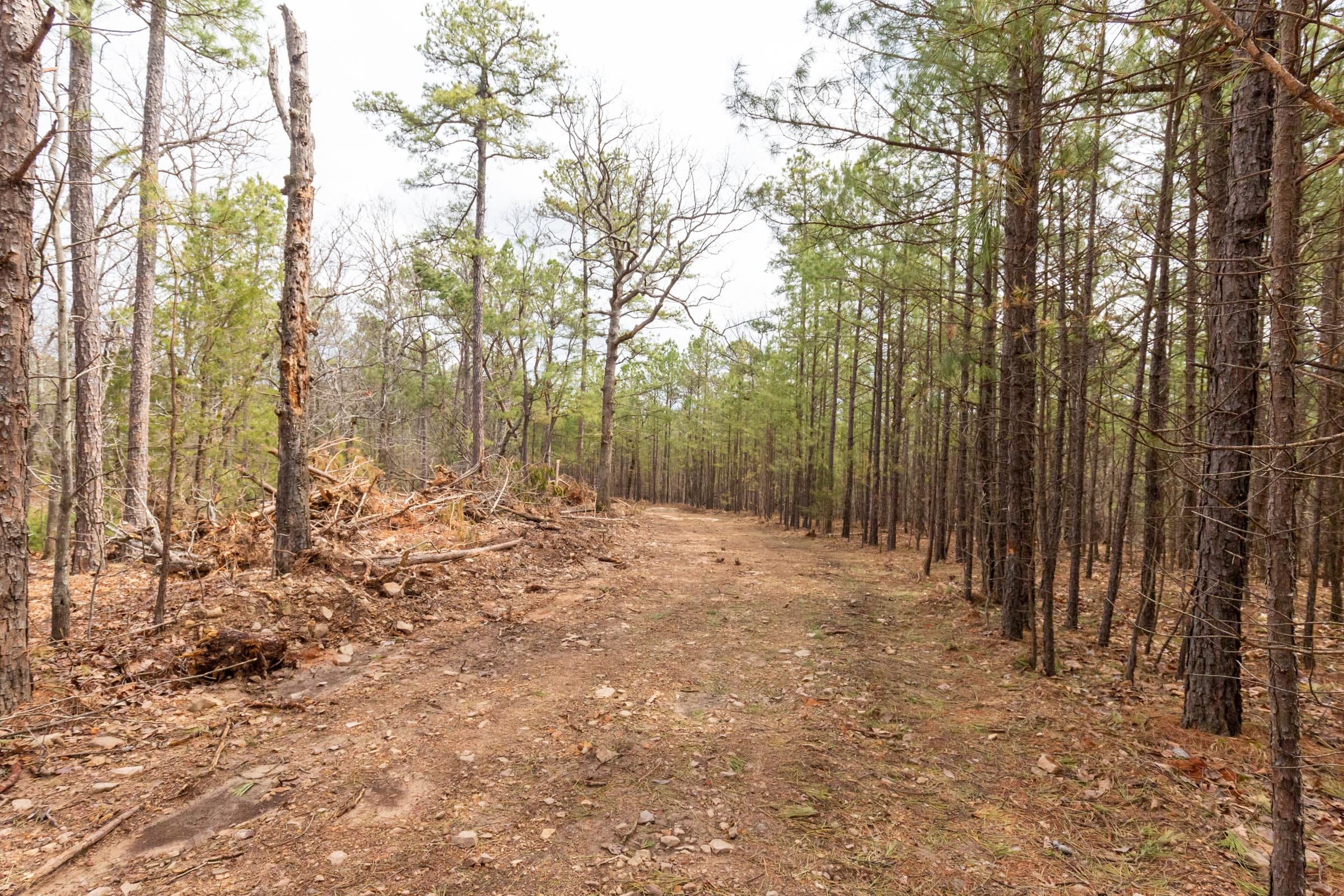 Stone Bridge Phase III Tract 188 photo 8
