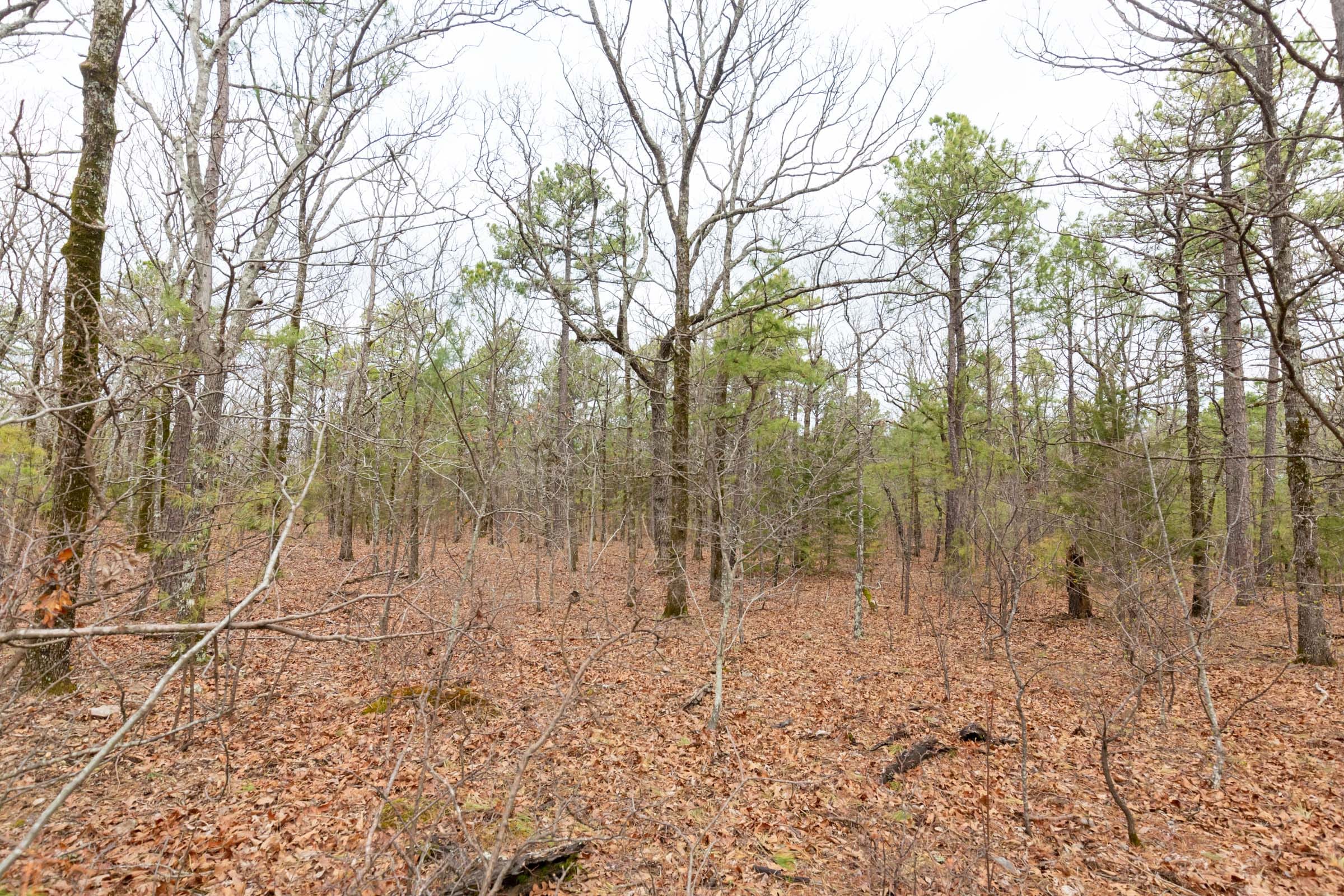 Stone Bridge Phase III Tract 188 photo 10