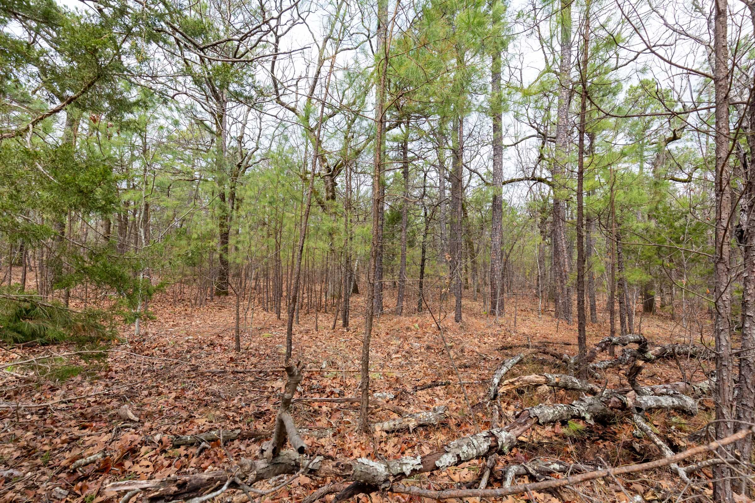 Stone Bridge Phase III Tract 188 photo 12