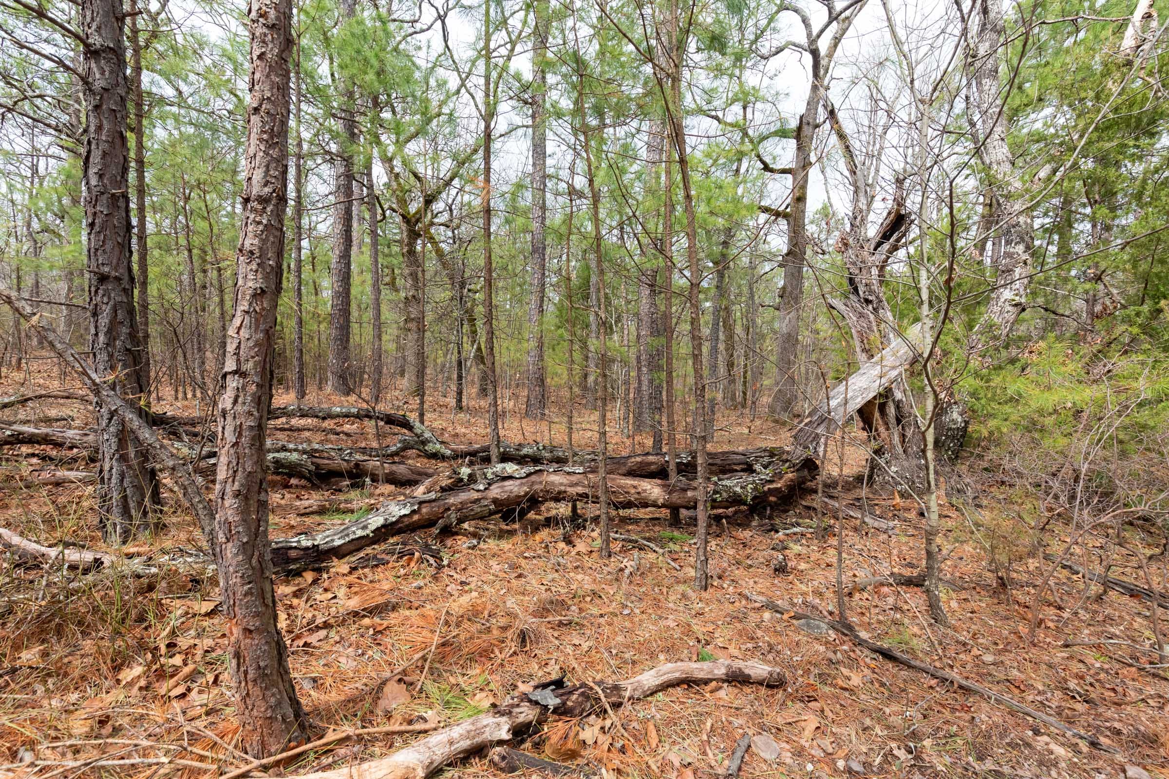 Stone Bridge Phase III Tract 188 photo 13