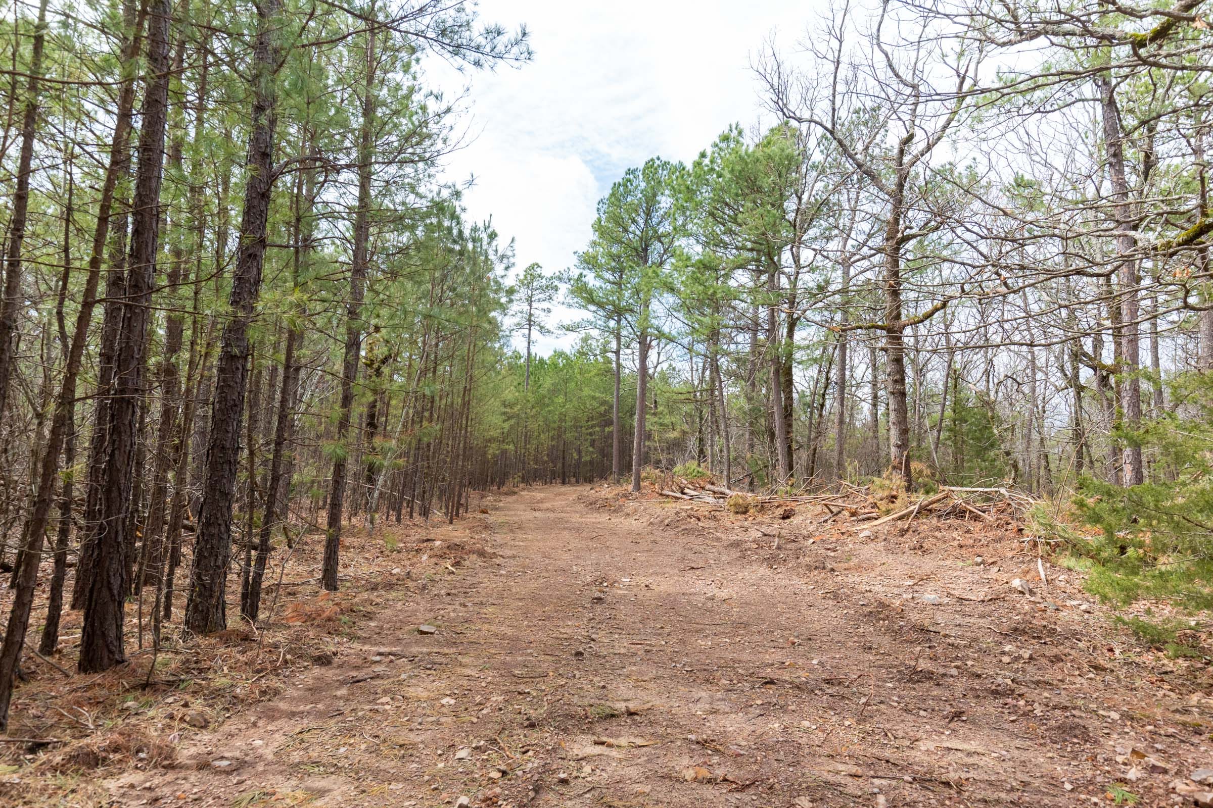 Stone Bridge Phase III Tract 188 photo 11