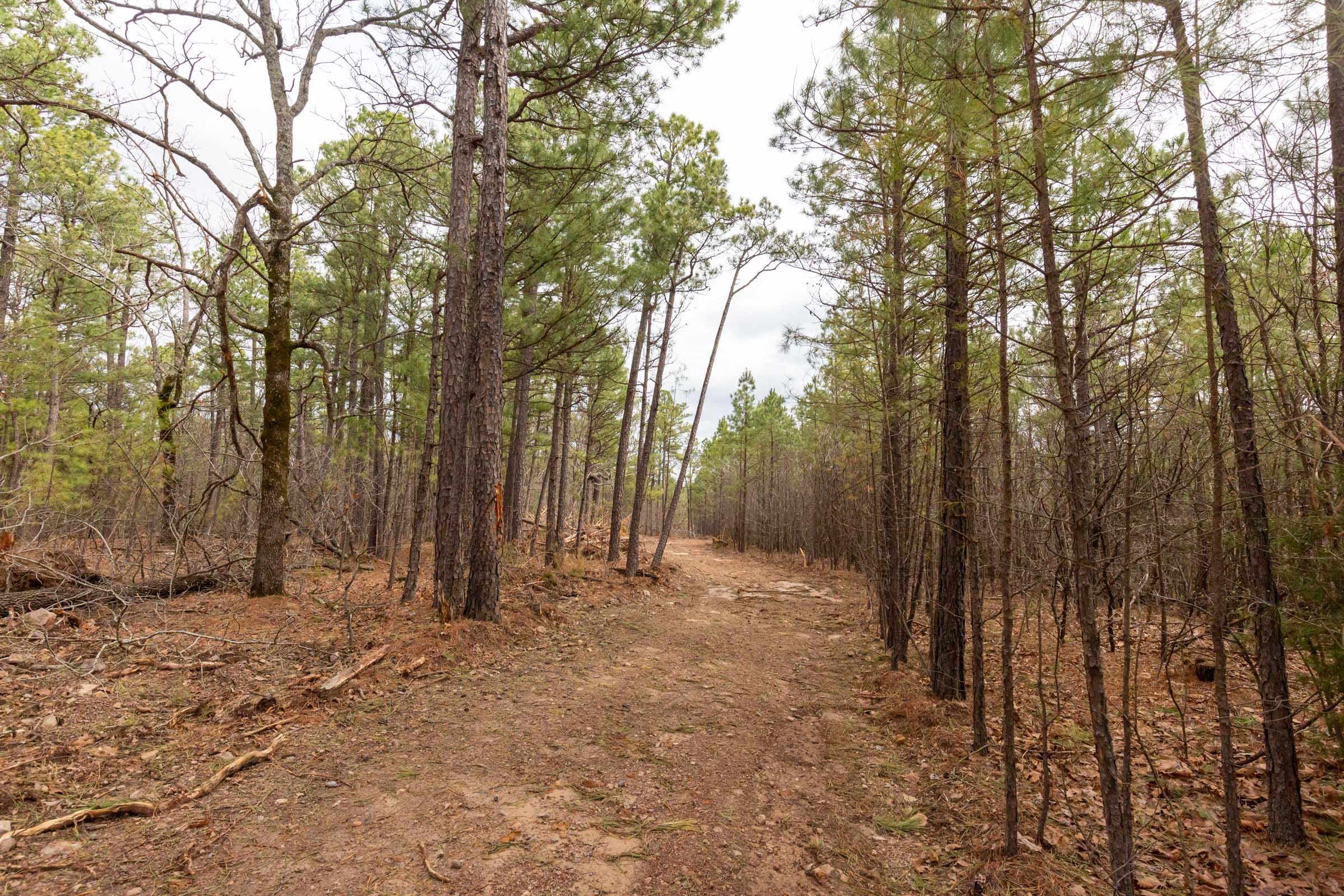 Stone Bridge Phase III Tract 188 photo 5