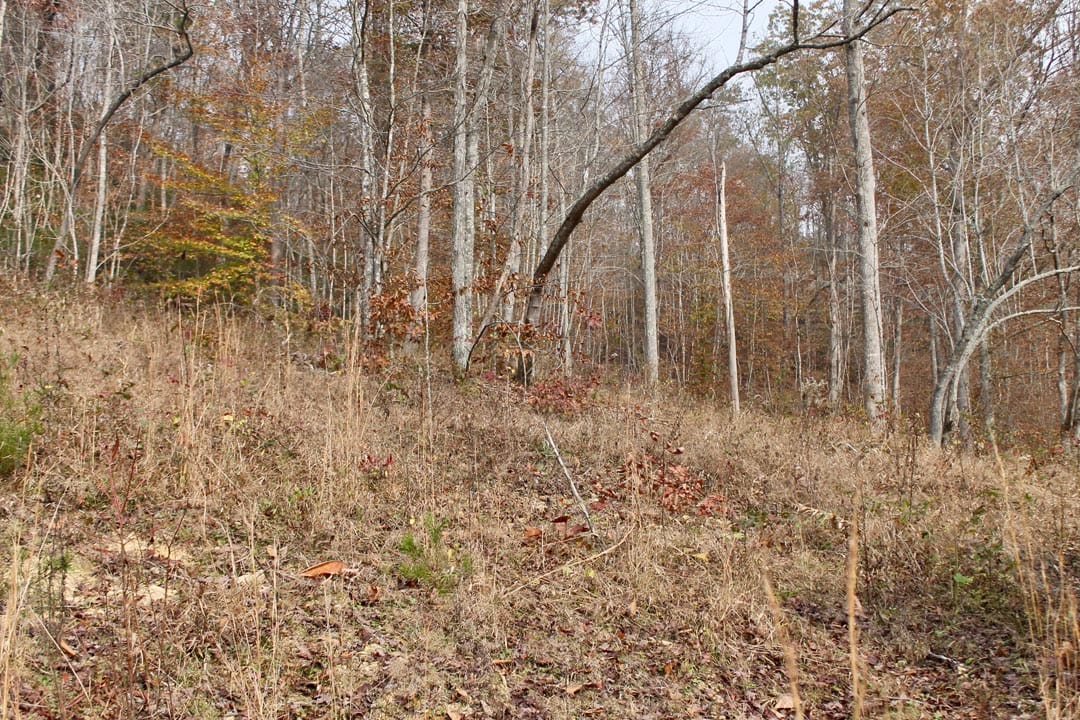 Autumn Ridge Tract 10 photo 2