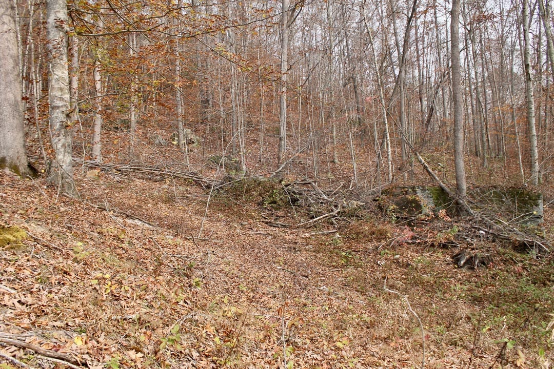 Autumn Ridge Tract 10 photo 5