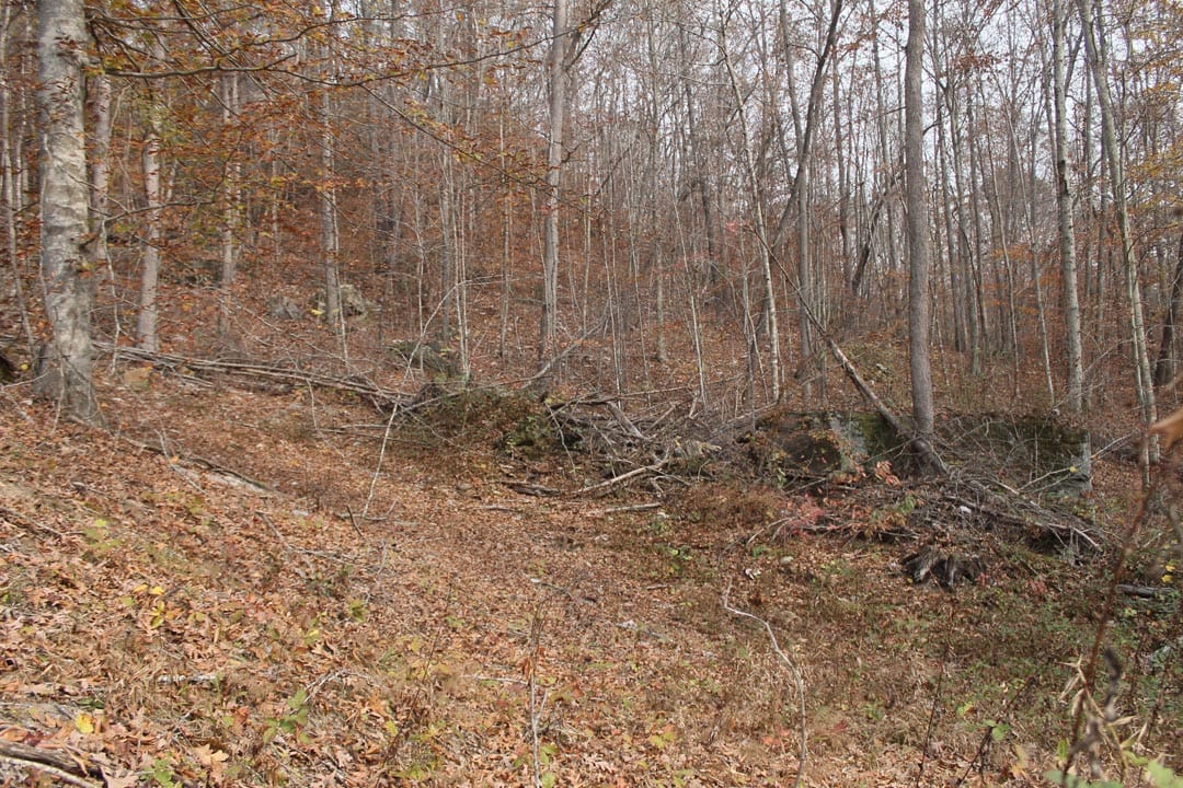 Autumn Ridge Tract 10 photo 6