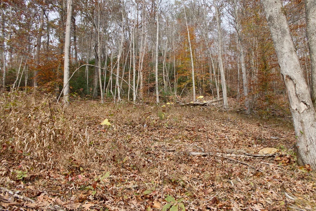 Autumn Ridge Tract 10 photo 7