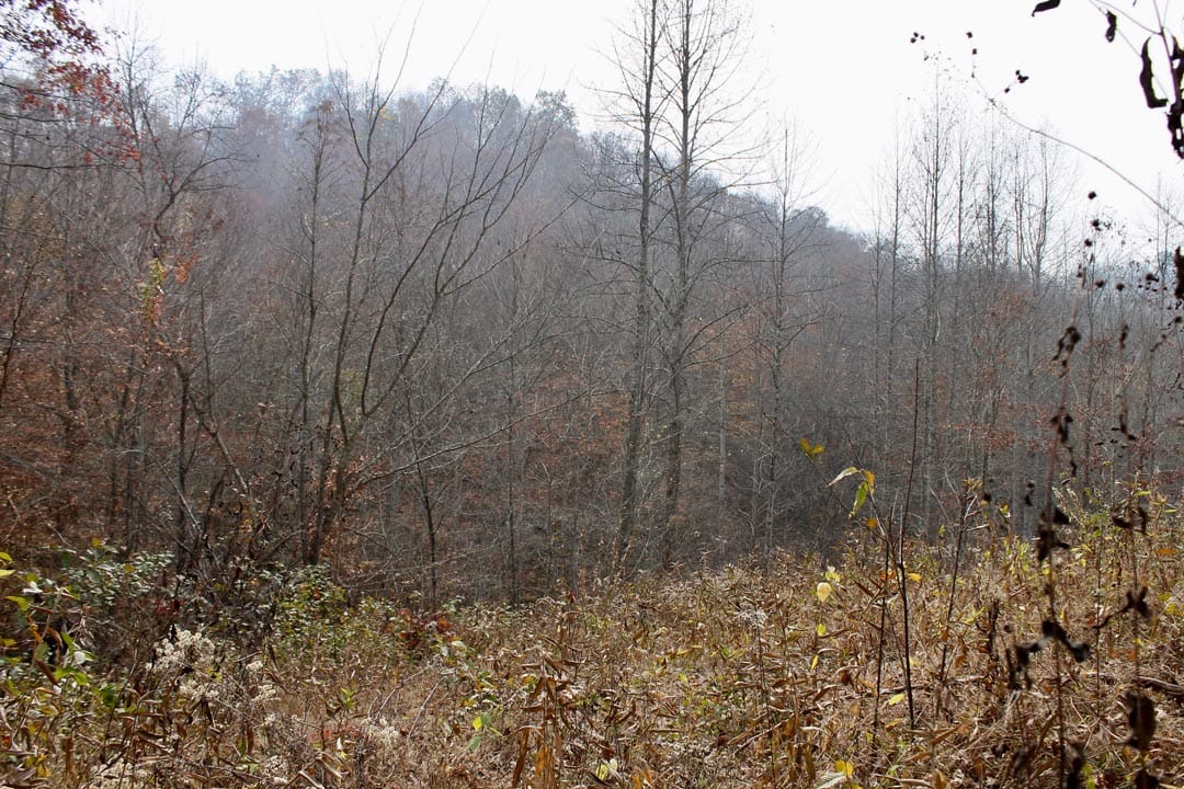 Autumn Ridge Tract 10 photo 9