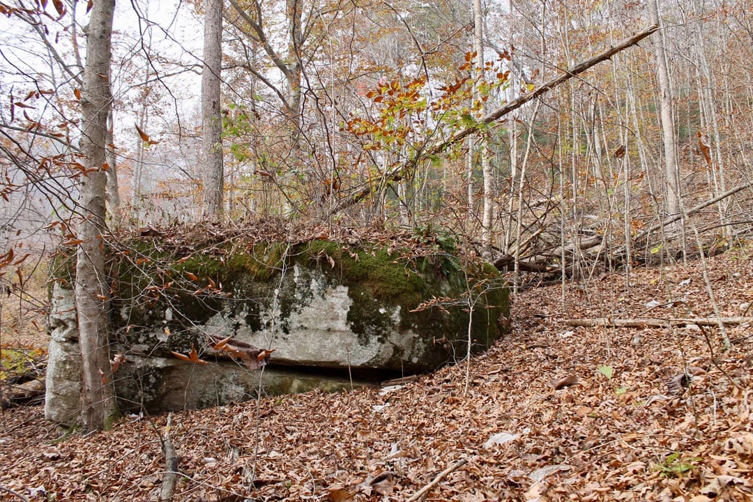 Autumn Ridge Tract 10 photo 14