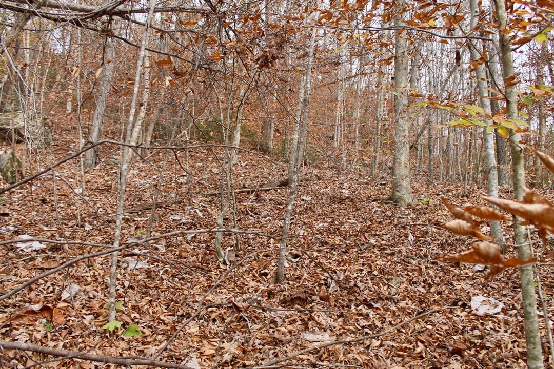 Autumn Ridge Tract 10 photo 16