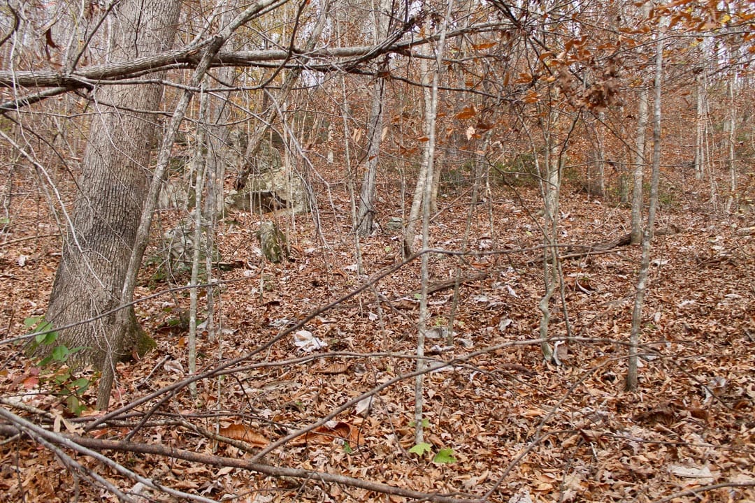 Autumn Ridge Tract 10 photo 17