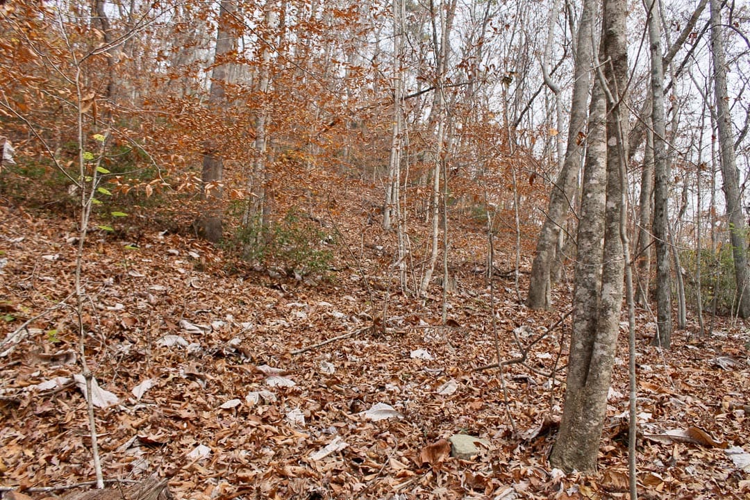 Autumn Ridge Tract 10 photo 18