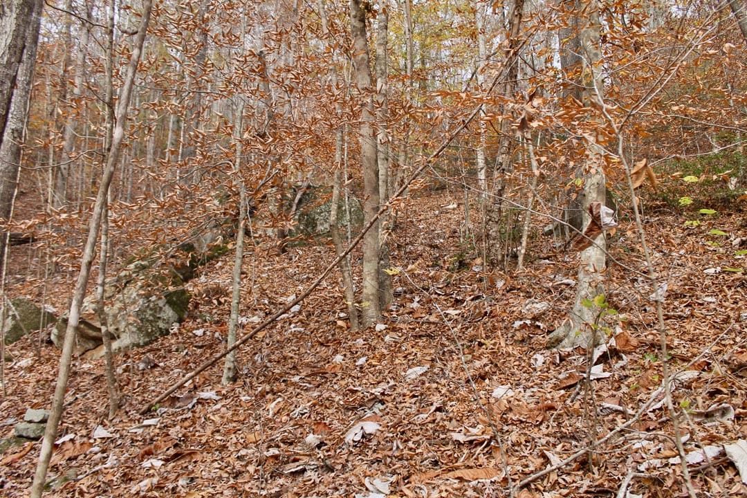 Autumn Ridge Tract 10 photo 20