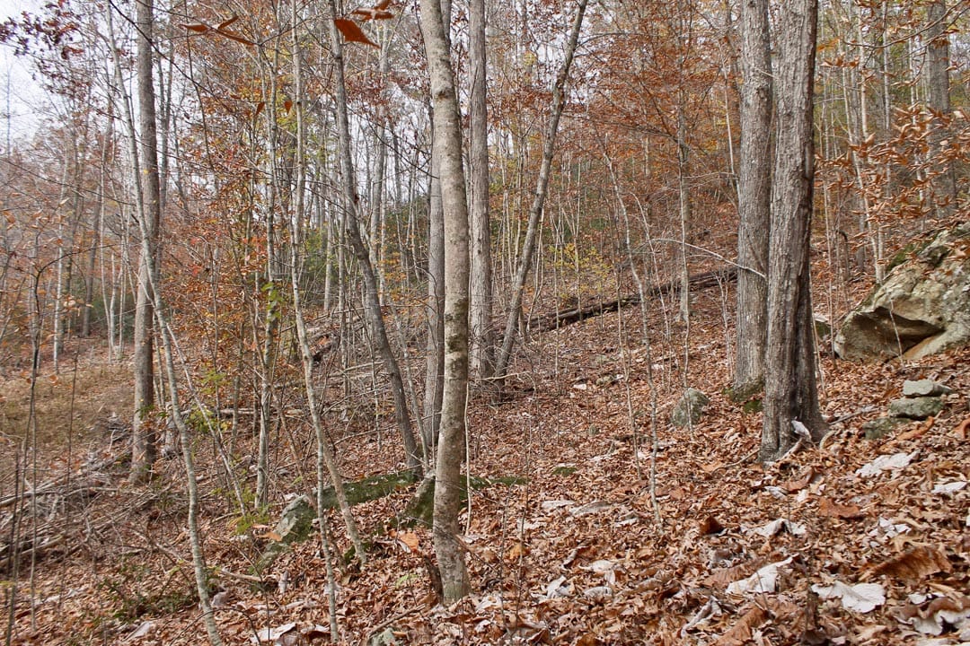 Autumn Ridge Tract 10 photo 21
