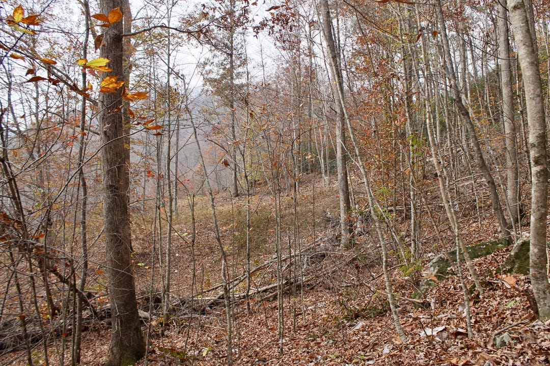 Autumn Ridge Tract 10 photo 22