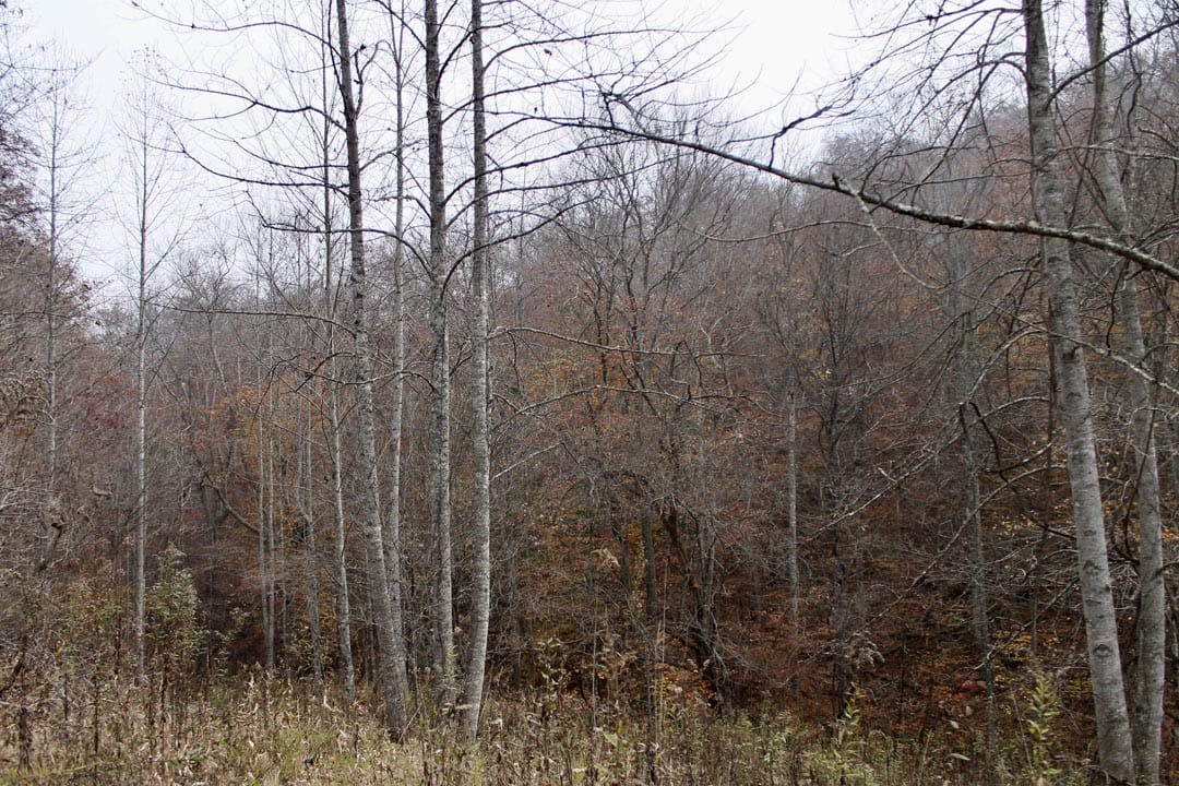 Autumn Ridge Tract 10 photo 24