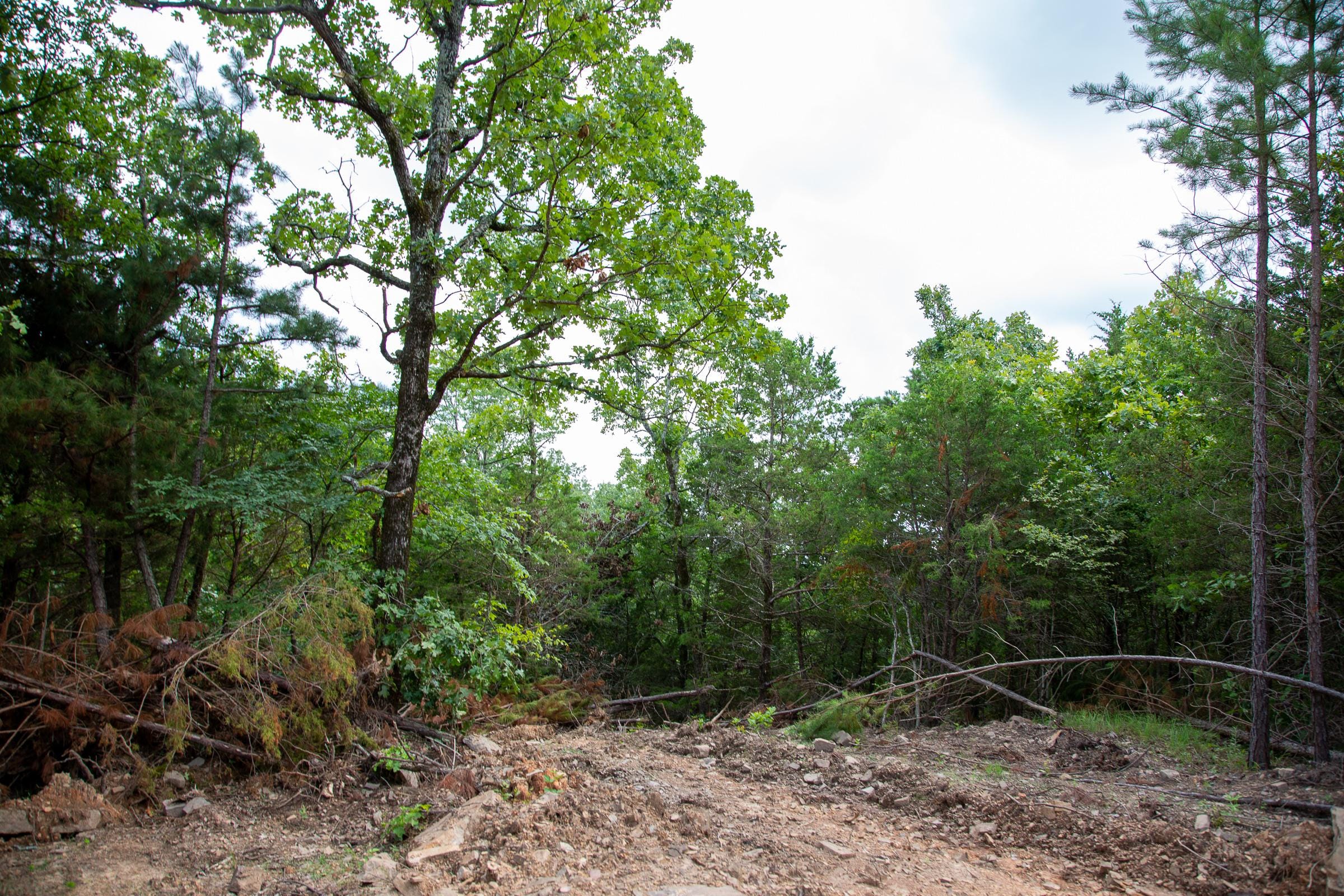 Tyler Stone Ranch Tract 53 photo 4