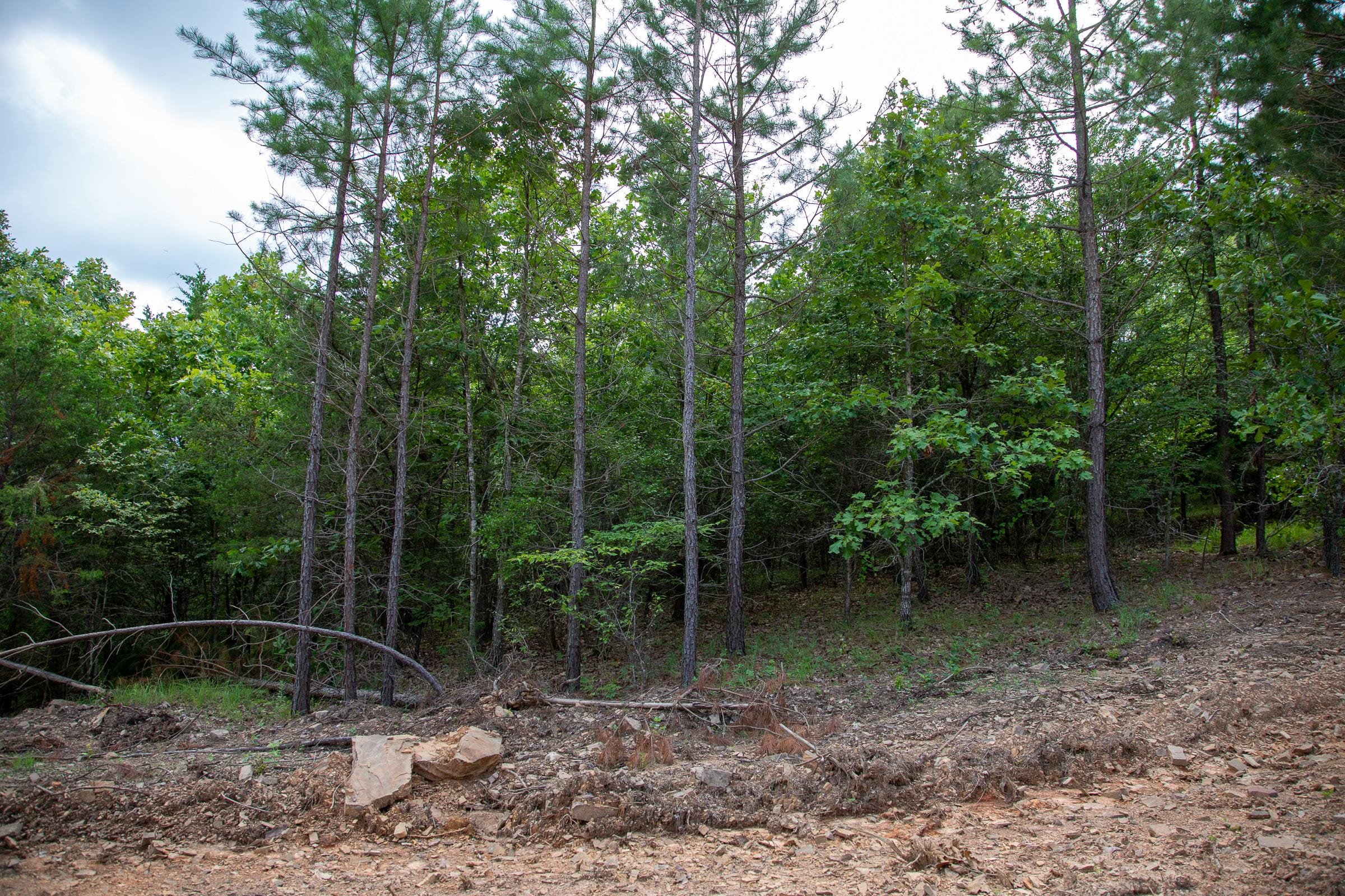 Tyler Stone Ranch Tract 53 photo 5