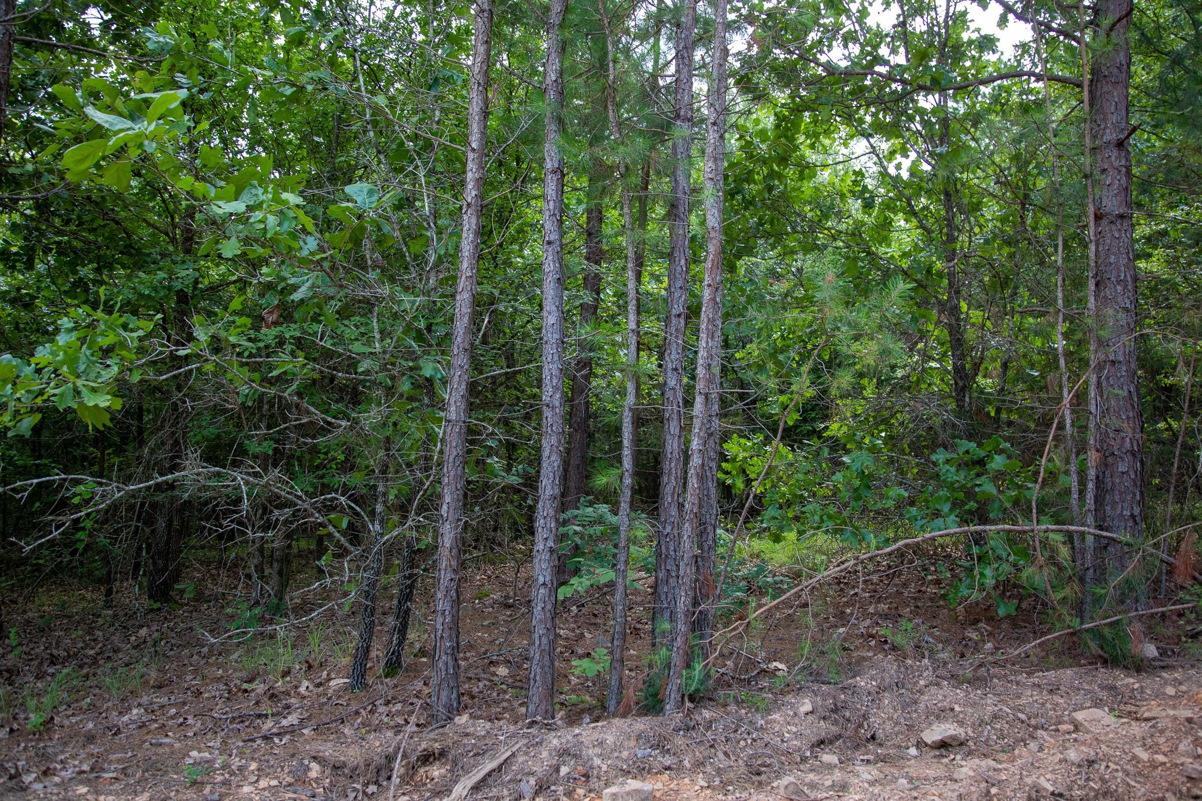 Tyler Stone Ranch Tract 53 photo 2