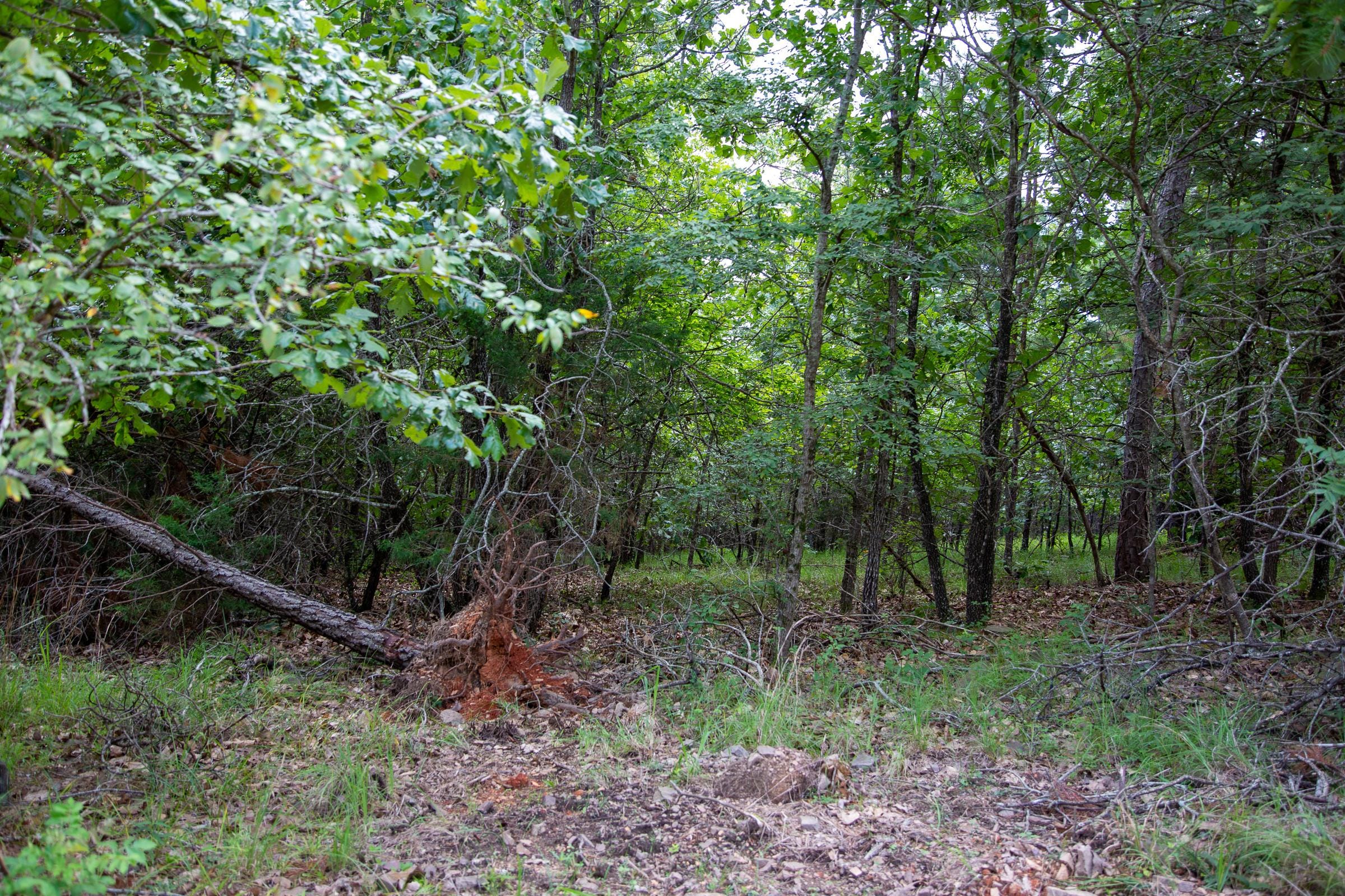 Tyler Stone Ranch Tract 53 photo 6