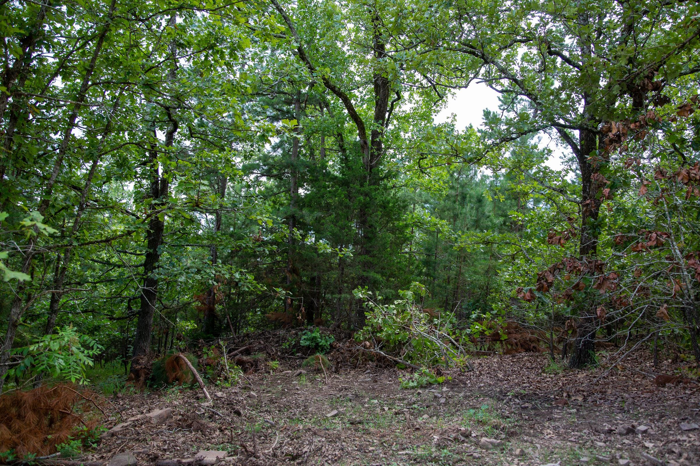 Tyler Stone Ranch Tract 53 photo 7