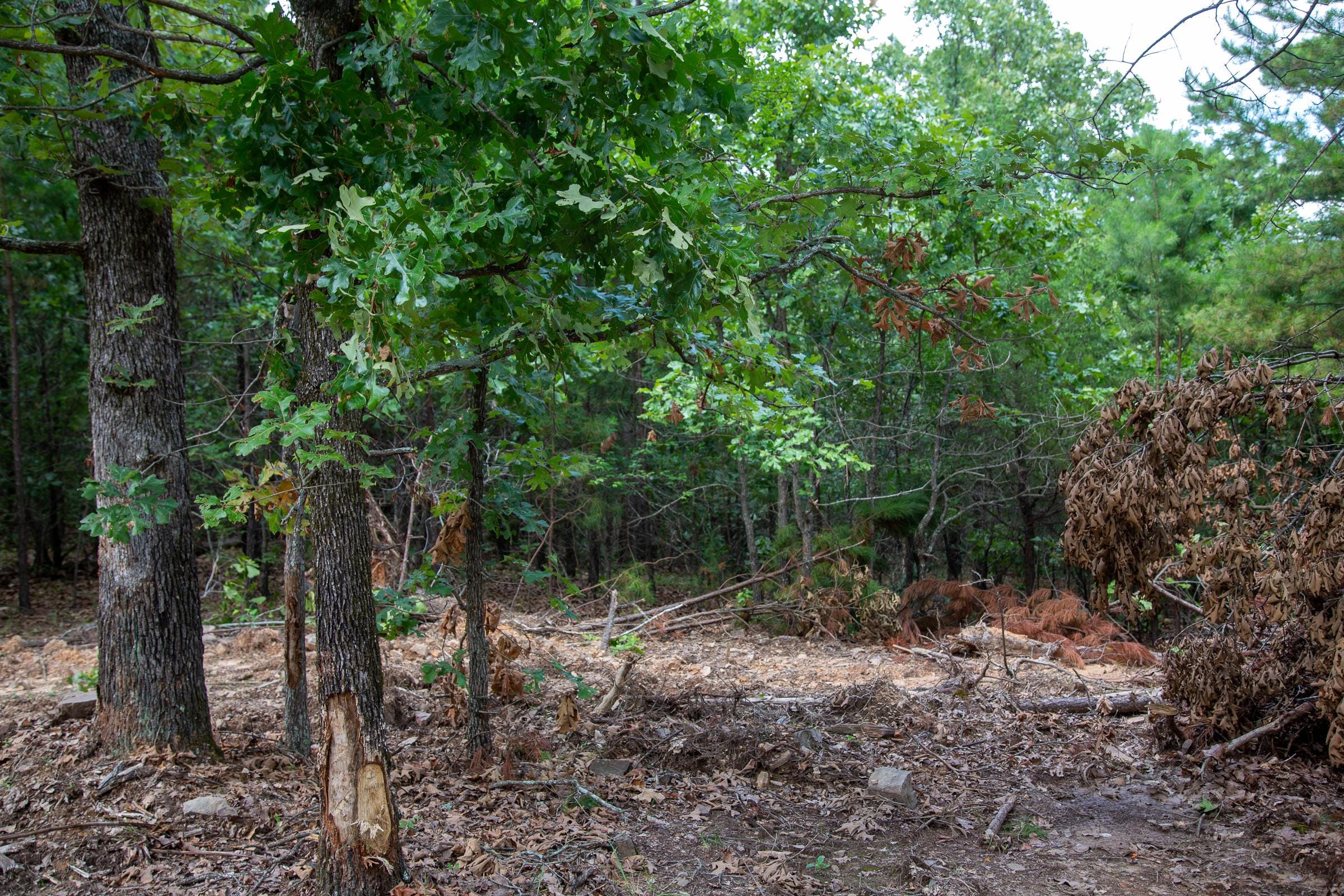 Tyler Stone Ranch Tract 53 photo 8