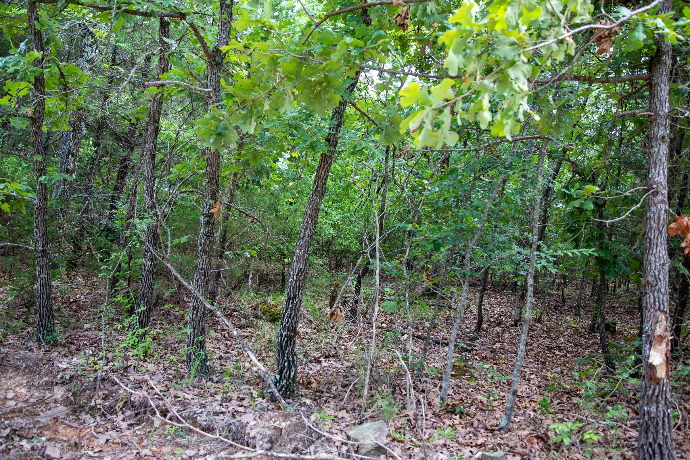 Tyler Stone Ranch Tract 53 photo 9