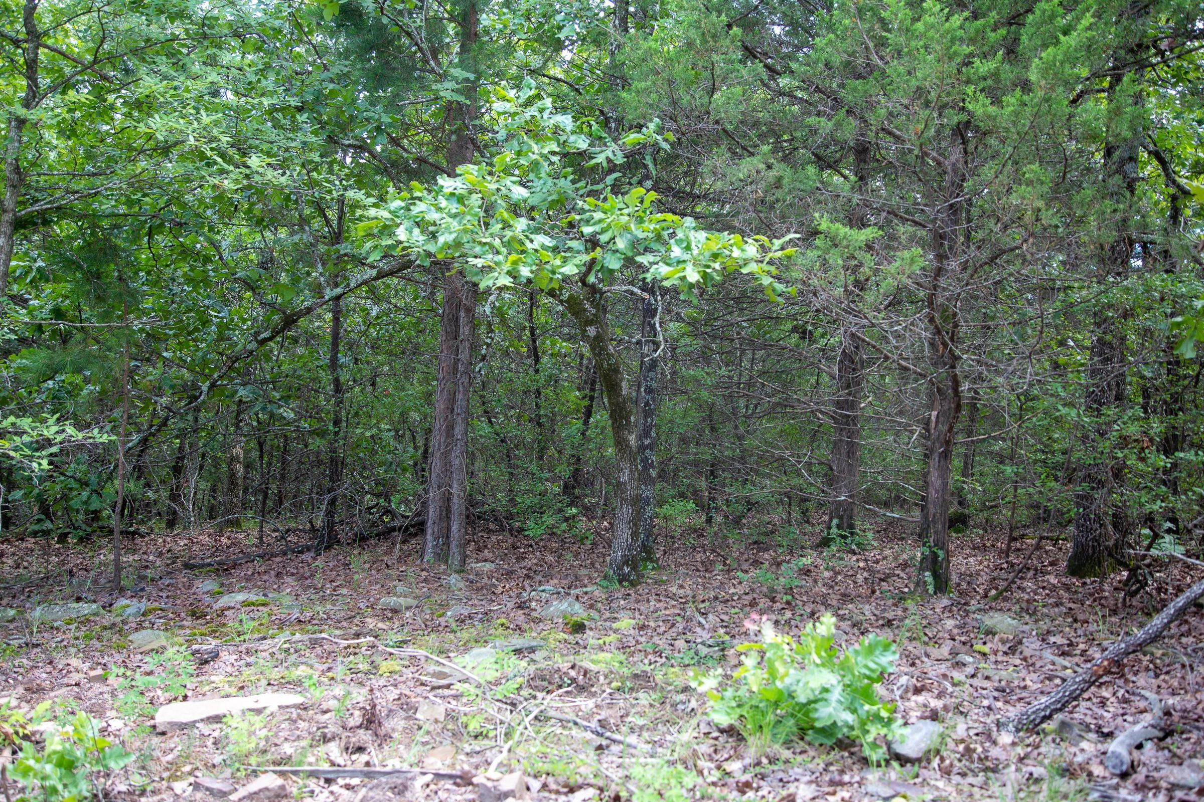 Tyler Stone Ranch Tract 53 photo 10