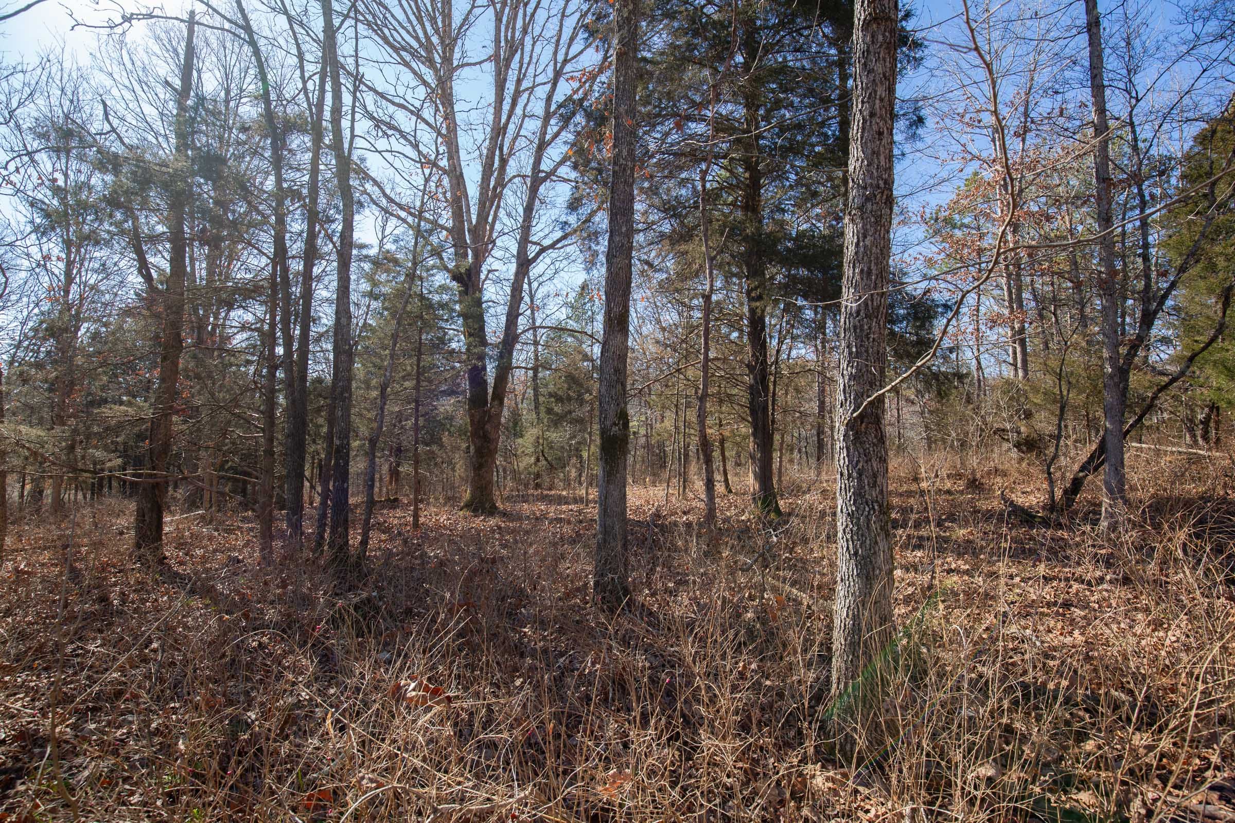 O’Connor Crossing Tract 4 photo 3