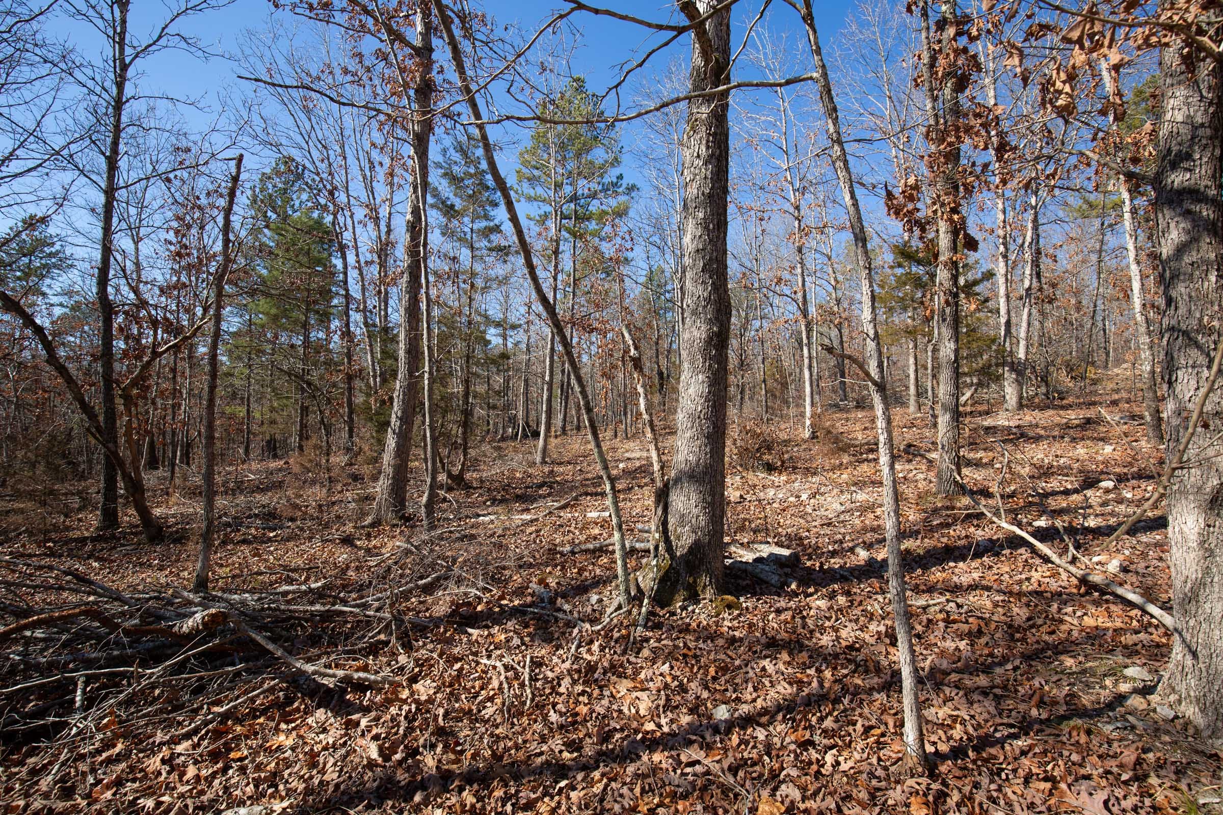 O’Connor Crossing Tract 4 photo 5