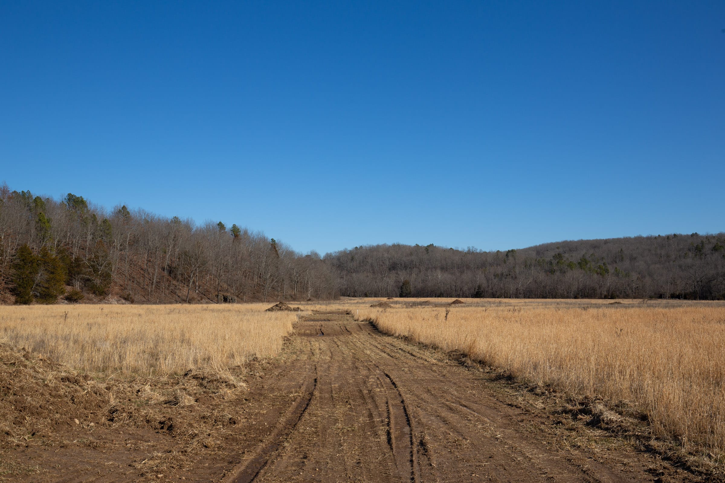 O’Connor Crossing Tract 4 photo 2