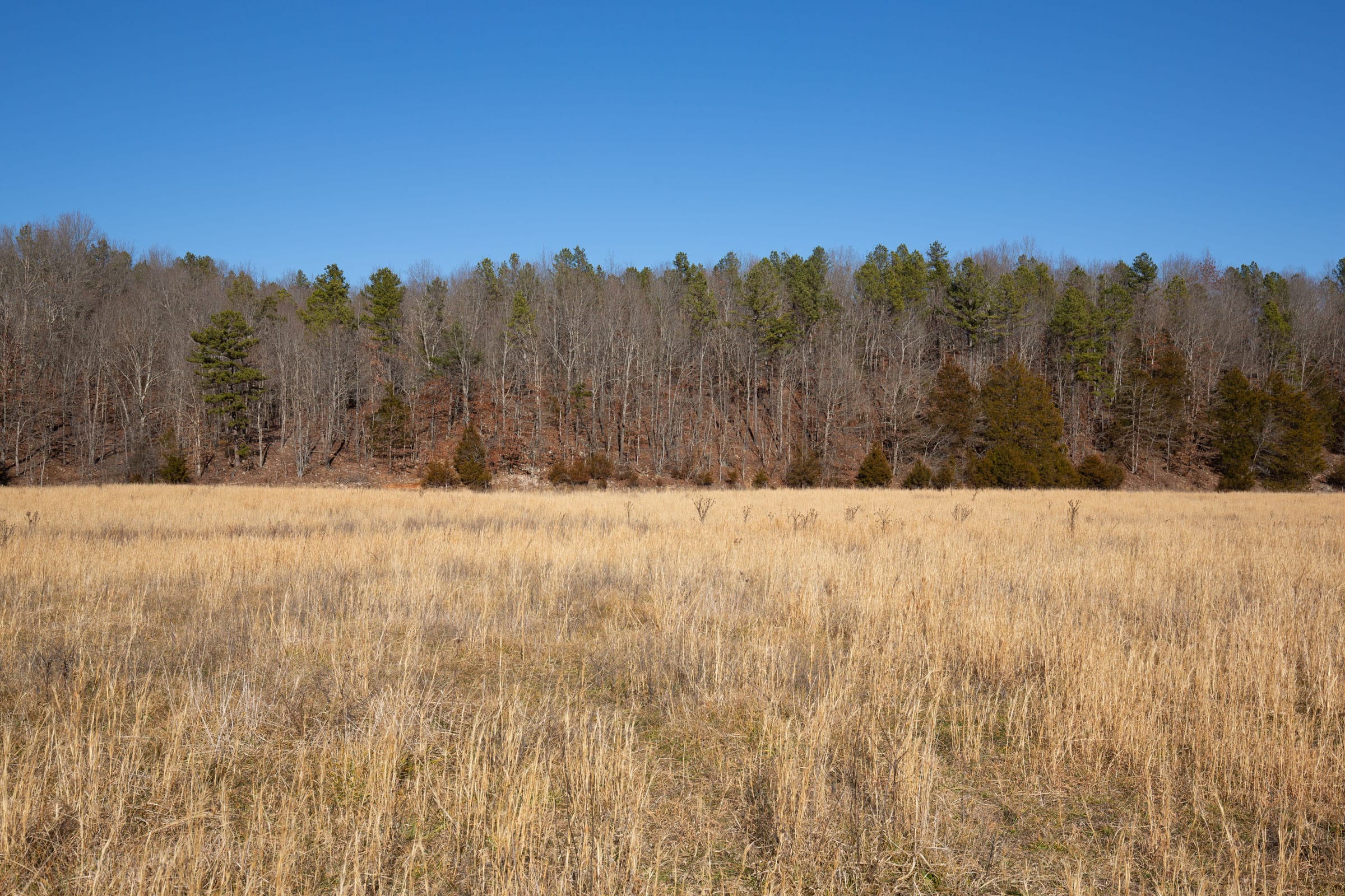 O’Connor Crossing Tract 4 photo 8