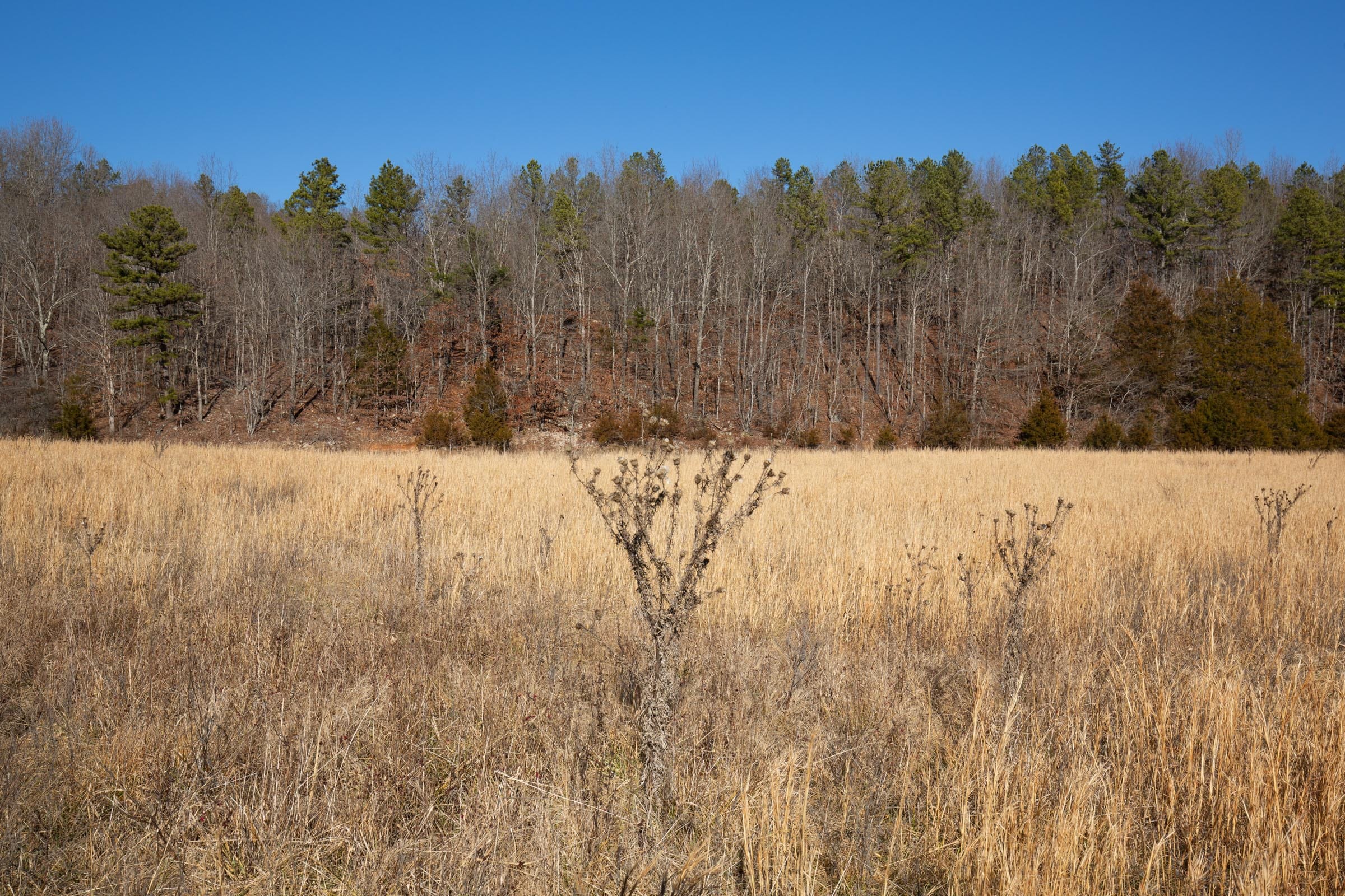 O’Connor Crossing Tract 4 photo 4