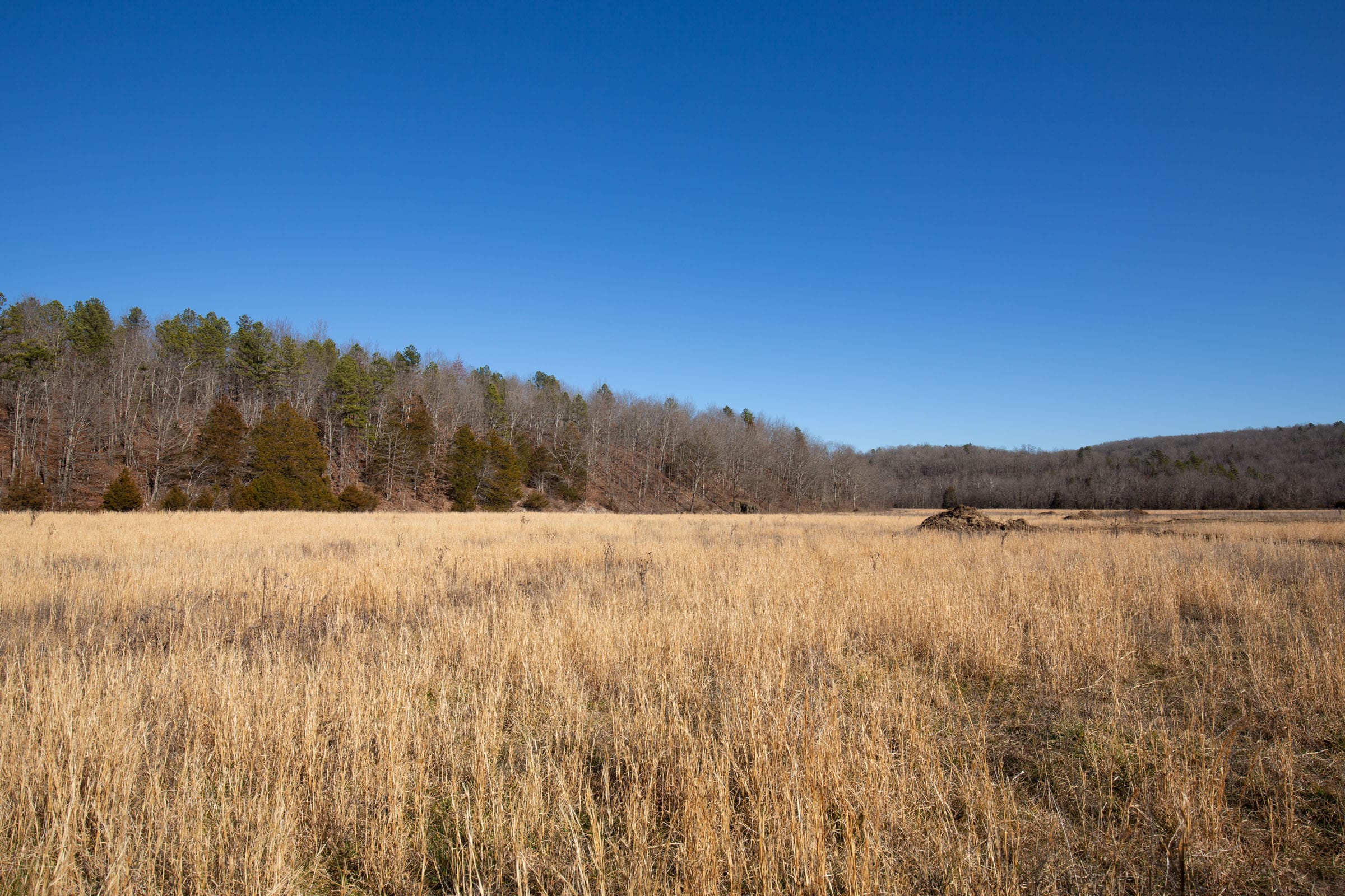 O’Connor Crossing Tract 4 photo 11