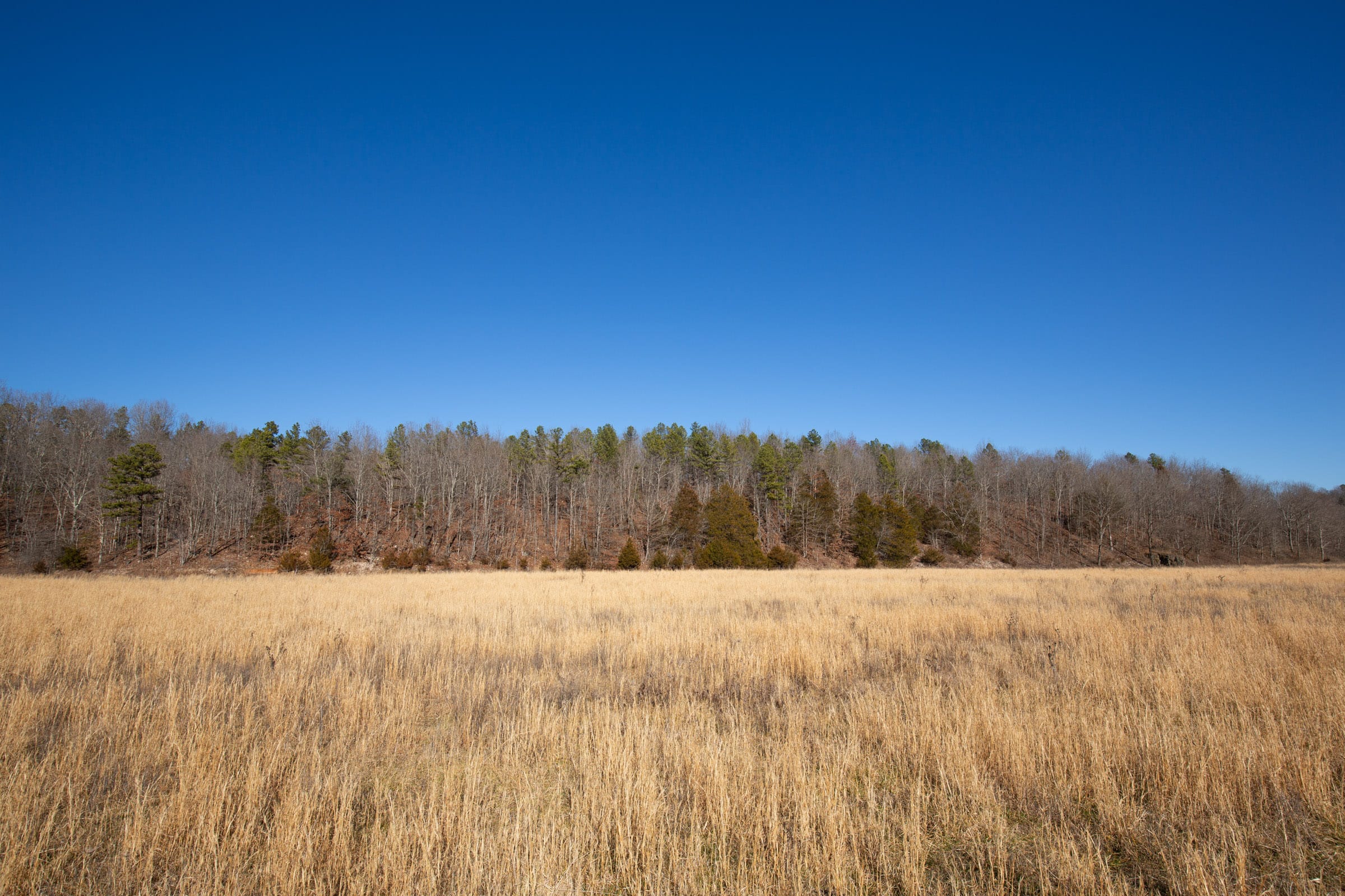 O’Connor Crossing Tract 4 photo 13