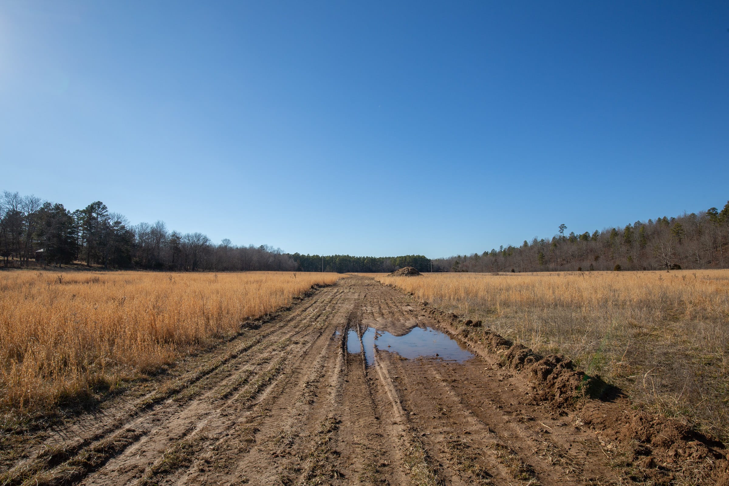 O’Connor Crossing Tract 4 photo 9