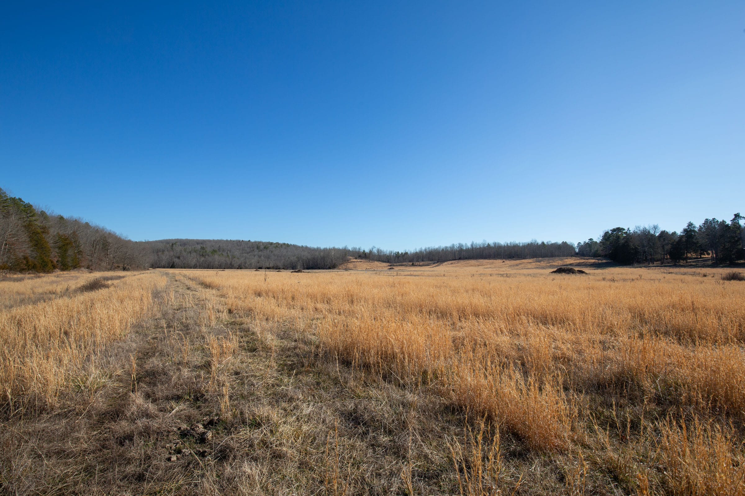 O’Connor Crossing Tract 4 photo 10